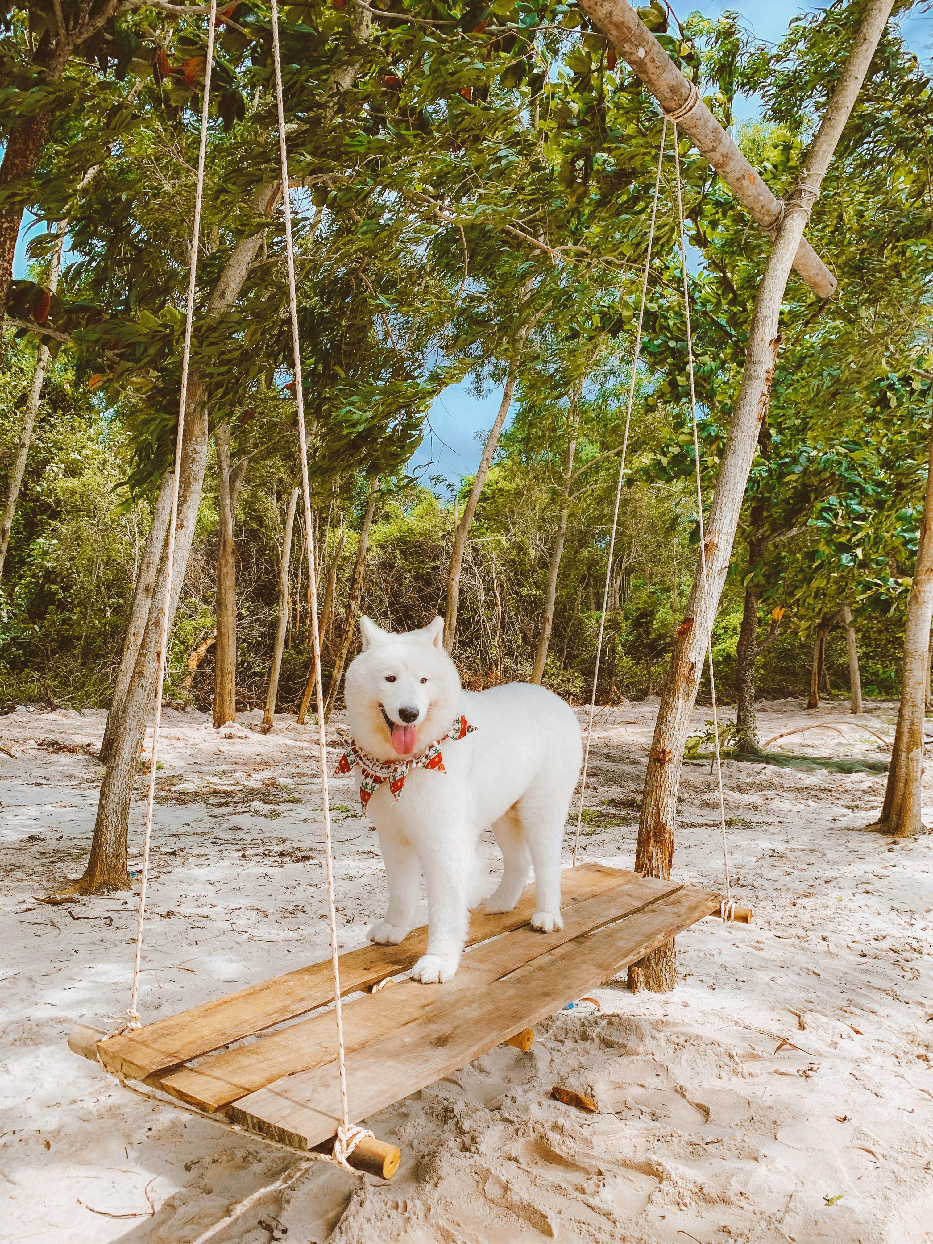 Phú Quốc ảnh 5 Phu Quoc anh 5