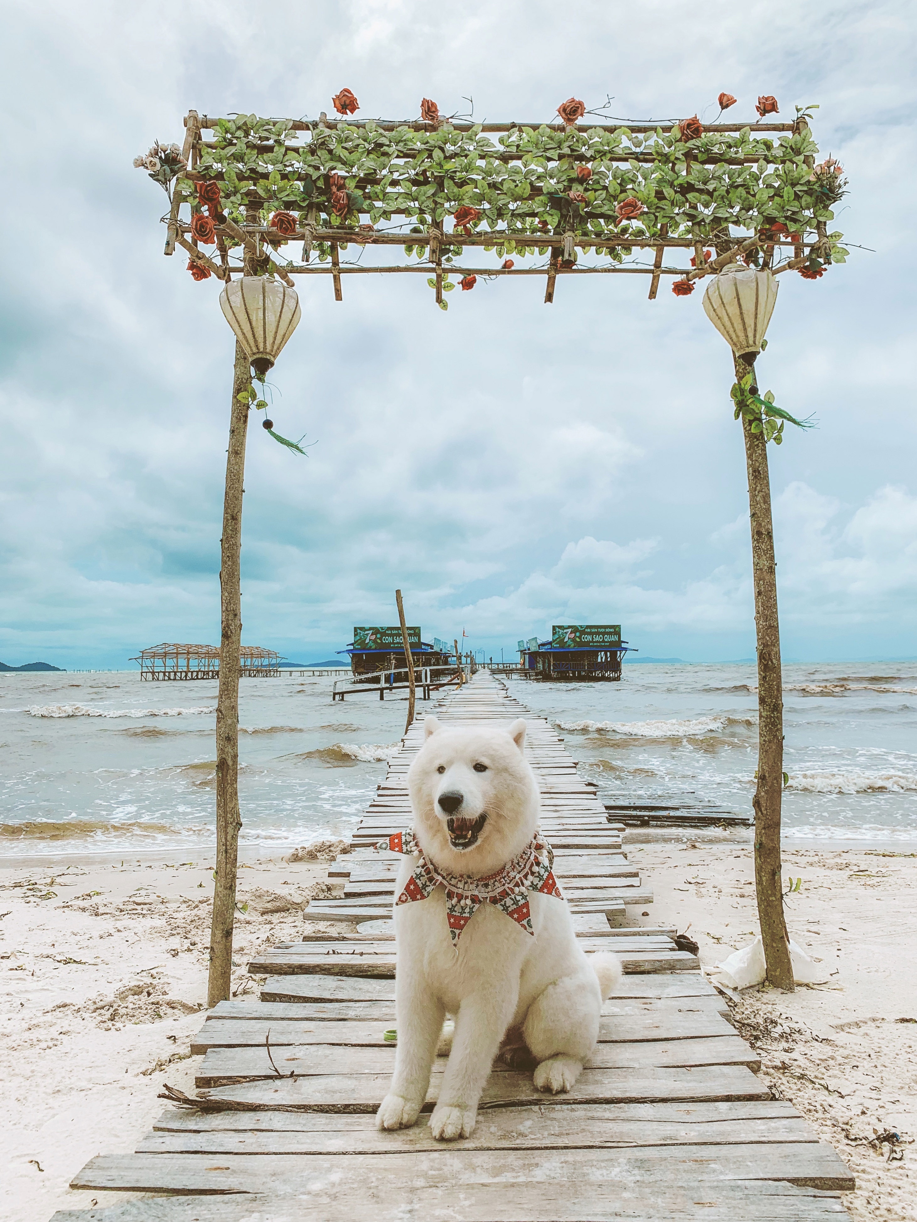 Phú Quốc ảnh 2 Phu Quoc anh 2