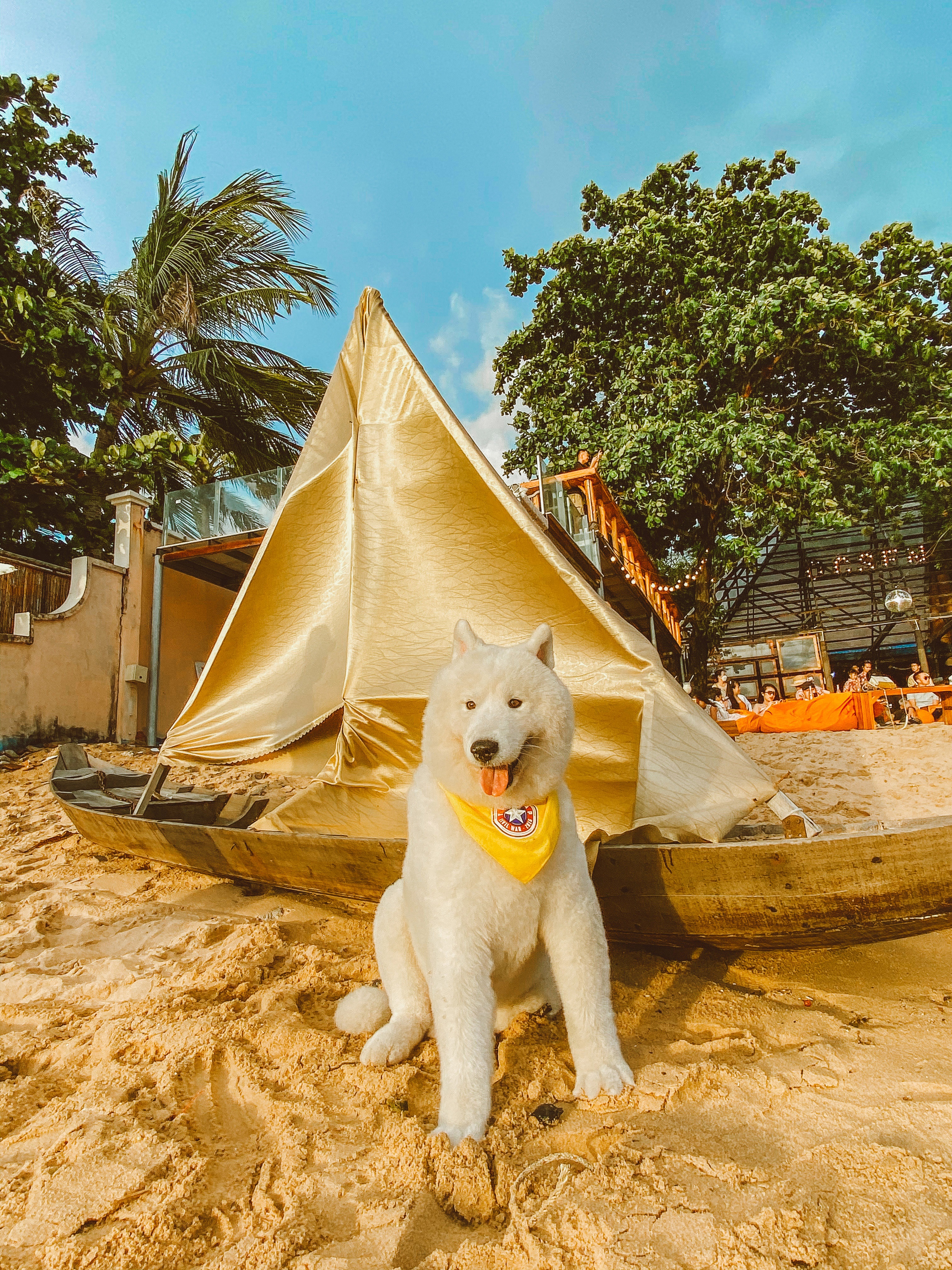 Phú Quốc ảnh 11 Phu Quoc anh 11