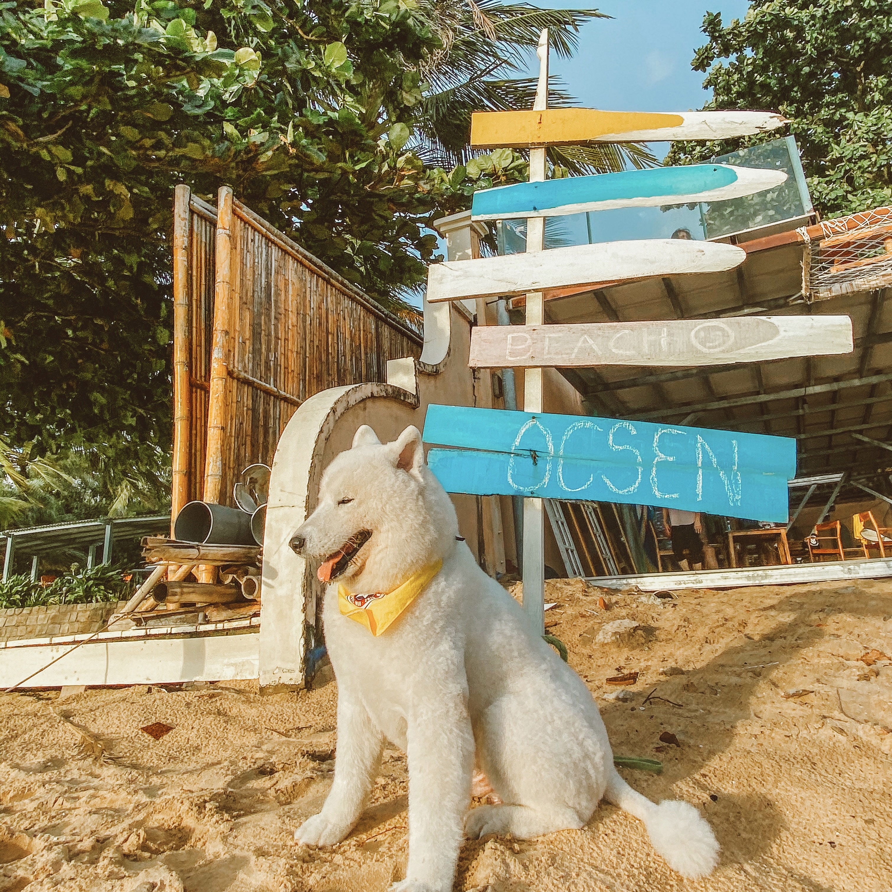 Phú Quốc ảnh 10 Phu Quoc anh 10