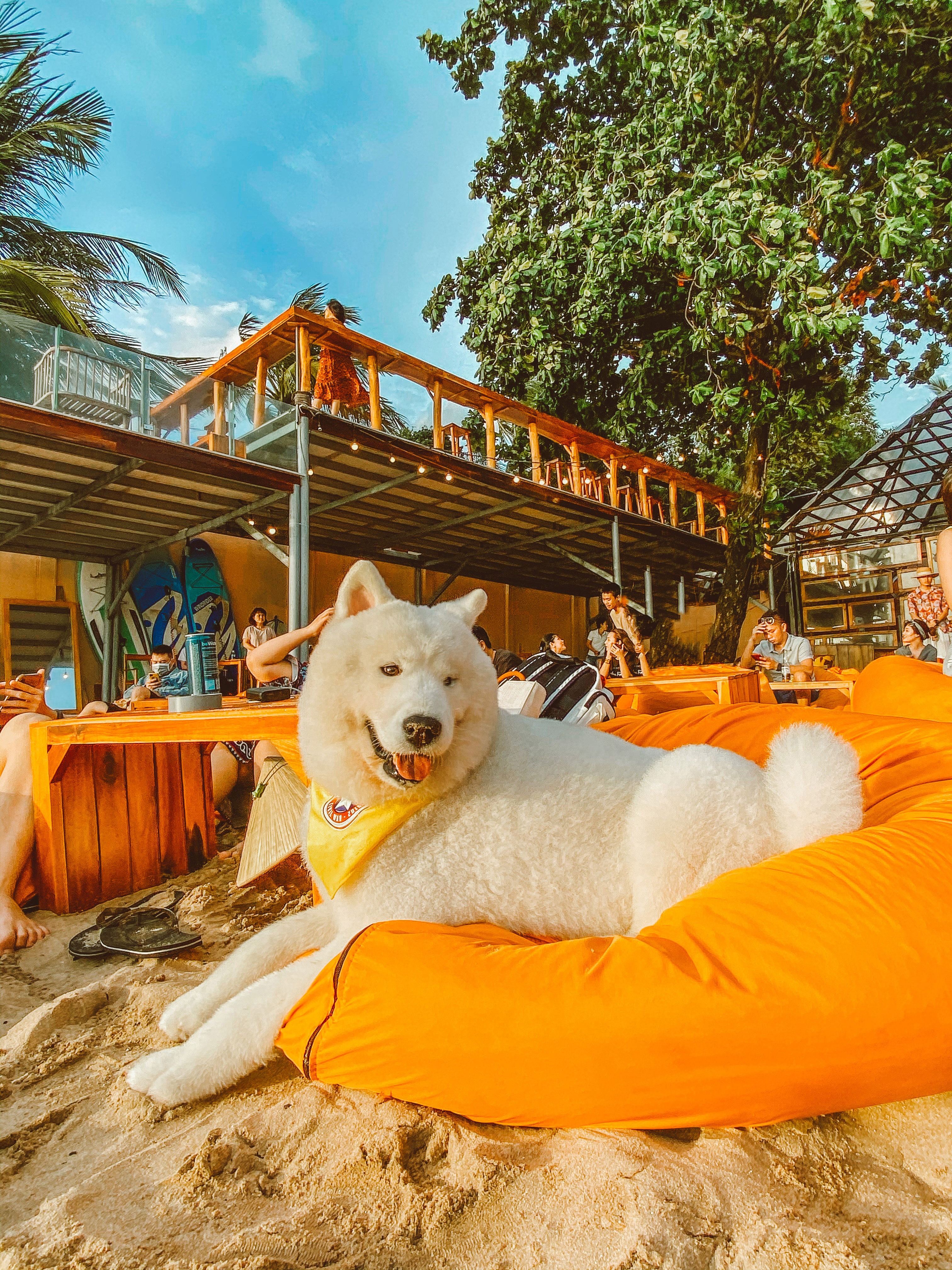 Phú Quốc ảnh 12 Phu Quoc anh 12