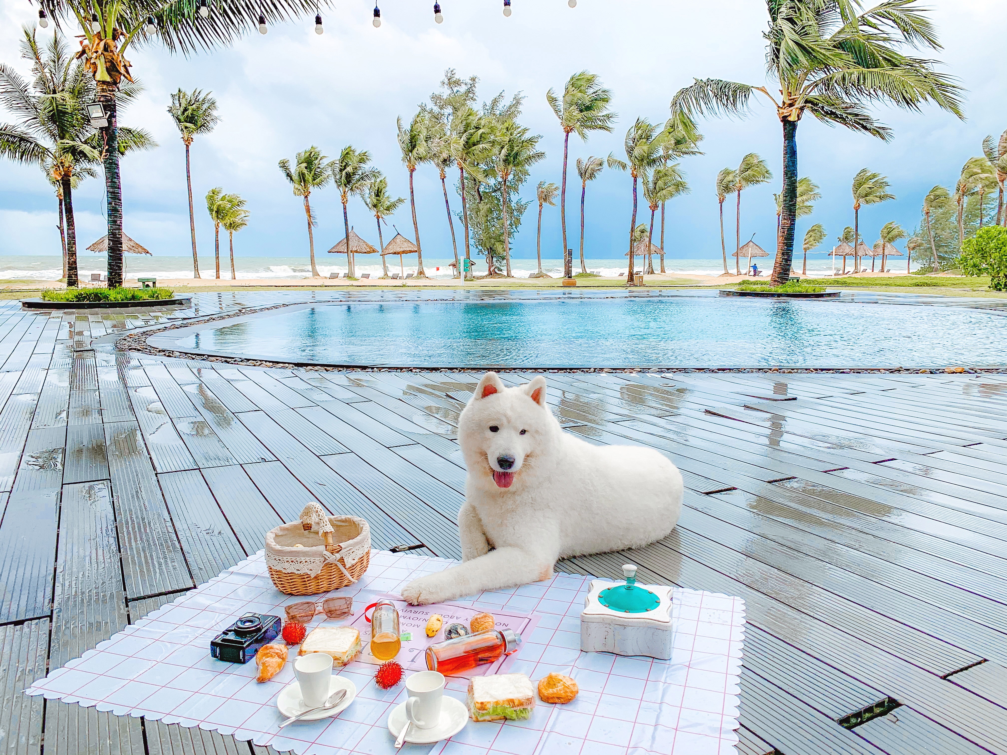 Phú Quốc ảnh 8 Phu Quoc anh 8