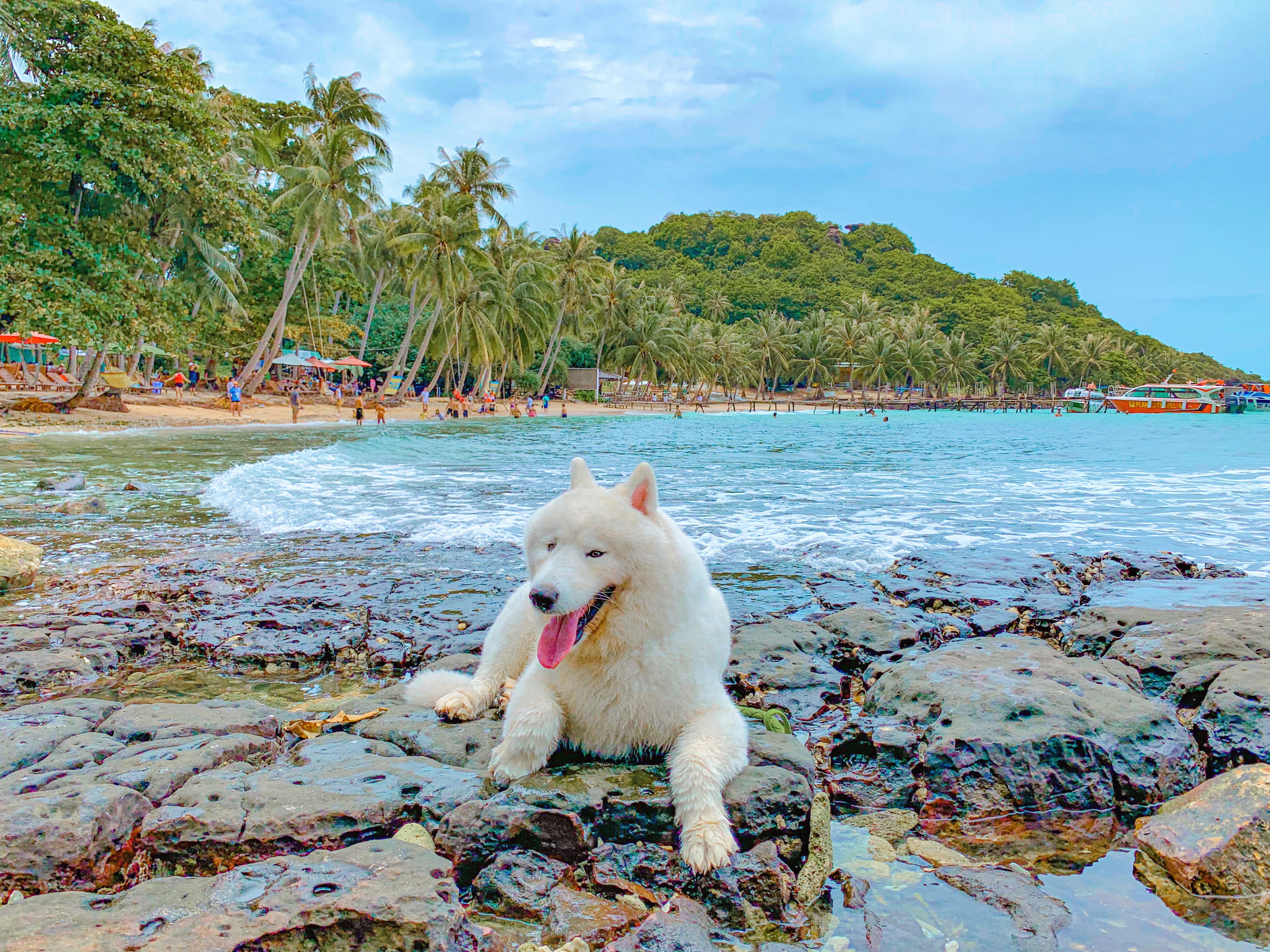 Phú Quốc ảnh 1 Phu Quoc anh 1