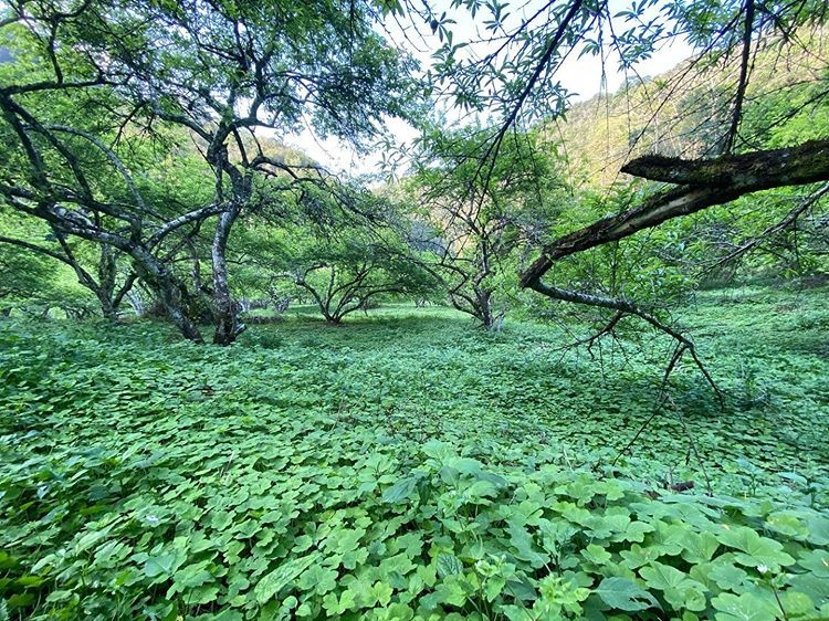 thung lũng Việt ảnh 16 thung lung Viet anh 16