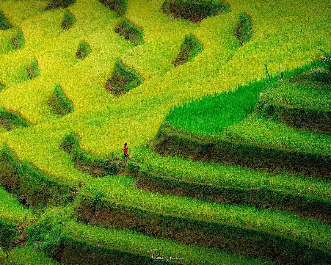 thung lũng Việt ảnh 4 thung lung Viet anh 4