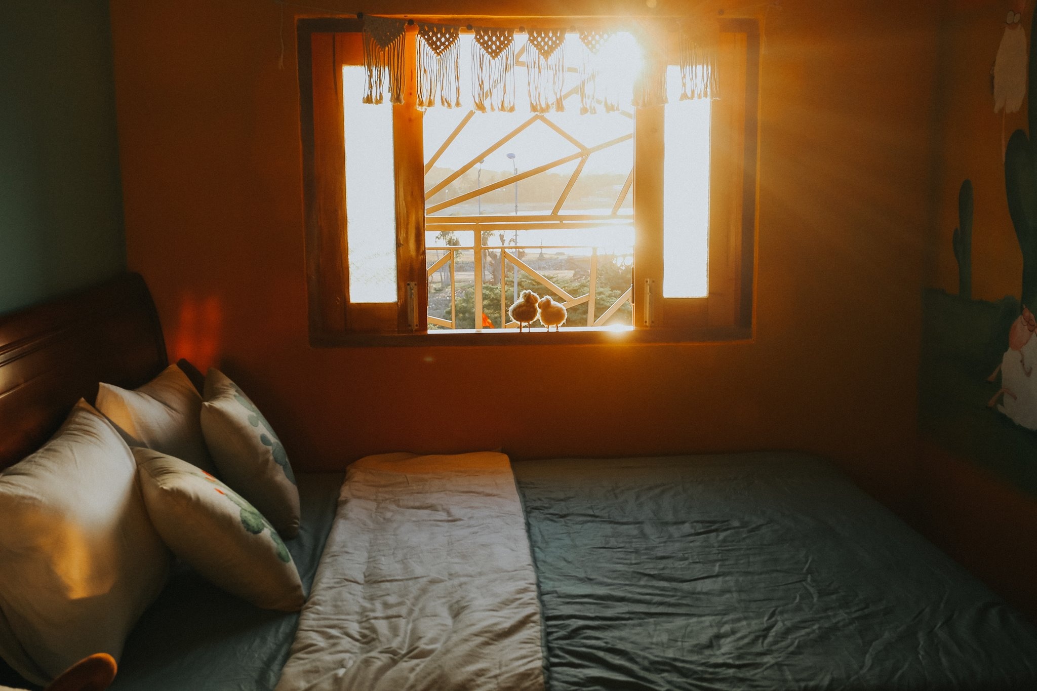 Ninh Thuận ảnh 7 Ninh Thuan anh 7