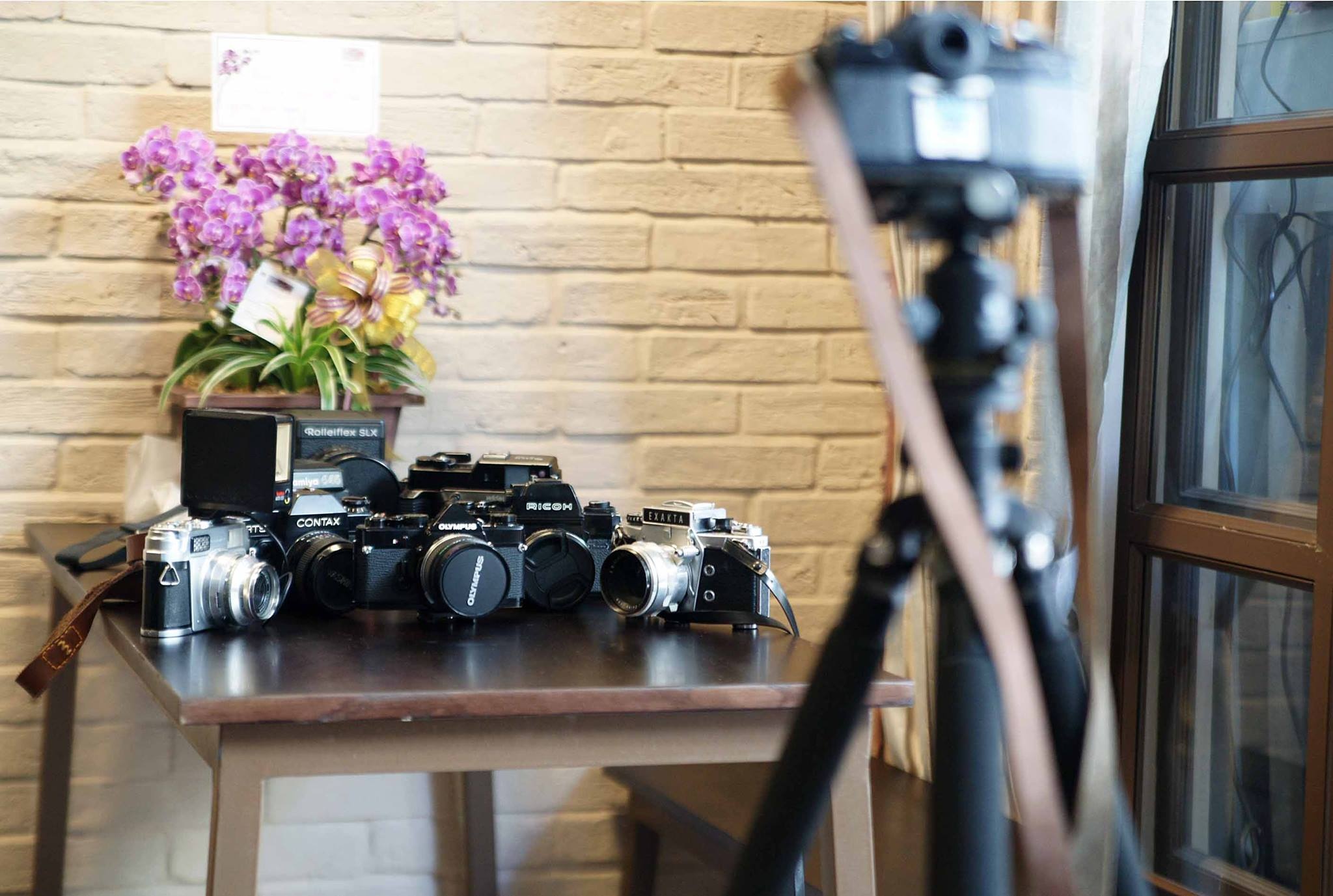 TP.HCM ảnh 7 TP.HCM anh 7