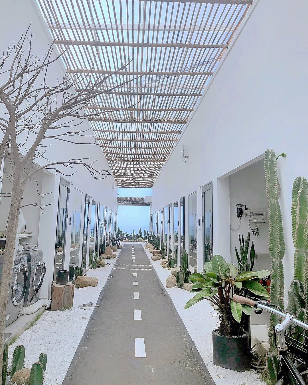 Bình Thuận ảnh 3 Binh Thuan anh 3