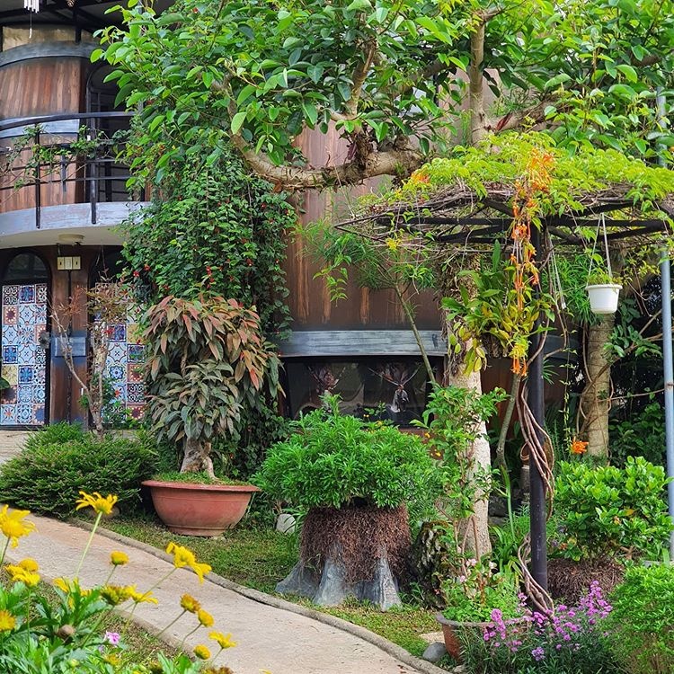 Đà Lạt ảnh 3 Da Lat anh 3