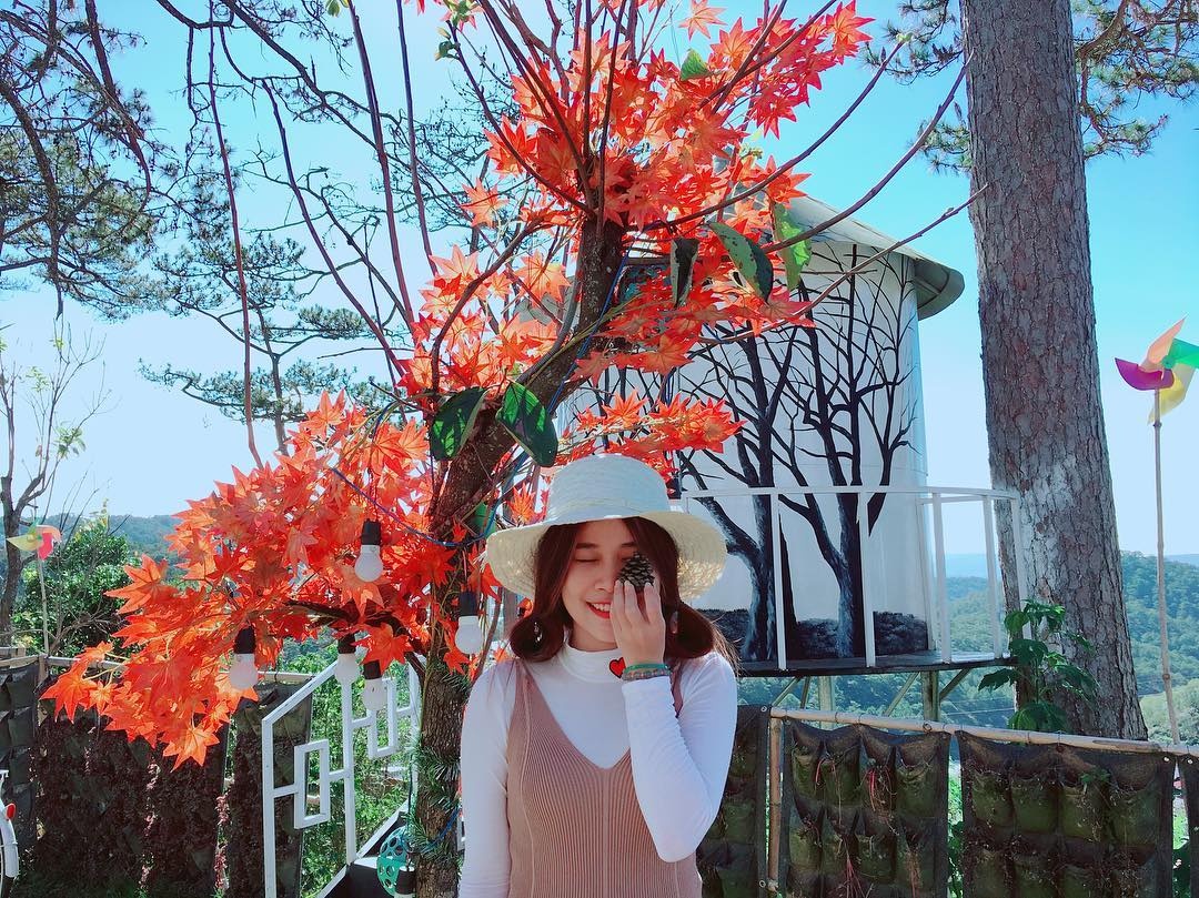 Đà Lạt ảnh 10 Da Lat anh 10