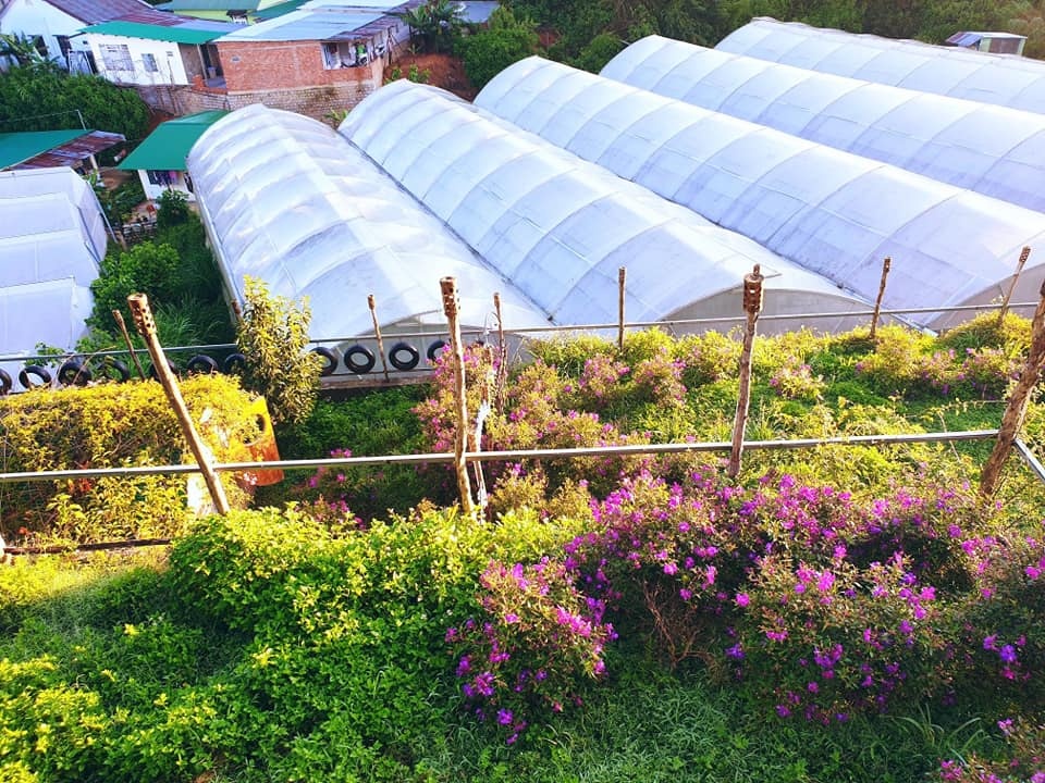 Đà Lạt ảnh 17 Da Lat anh 17