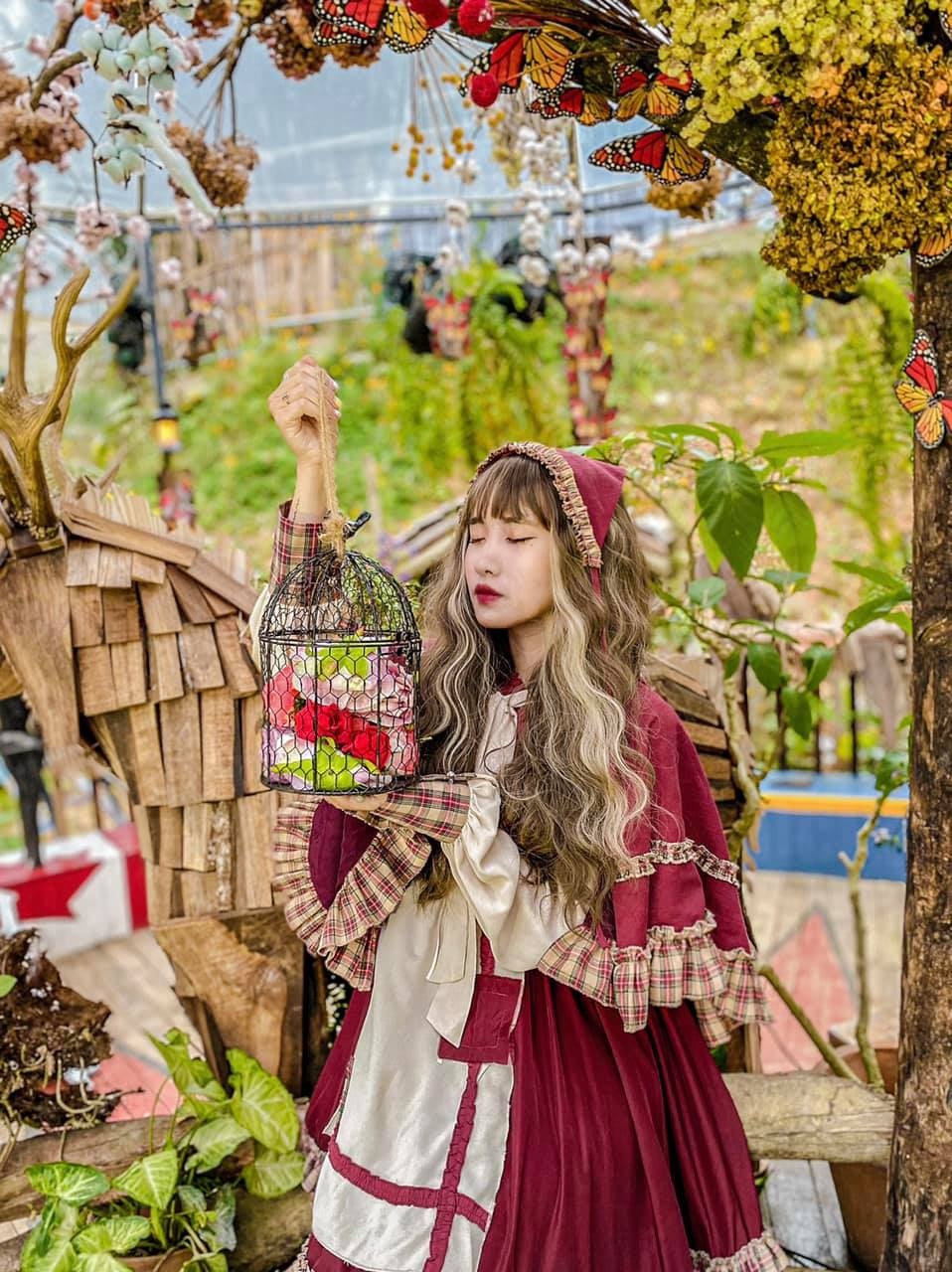 Đà Lạt ảnh 8 Da Lat anh 8