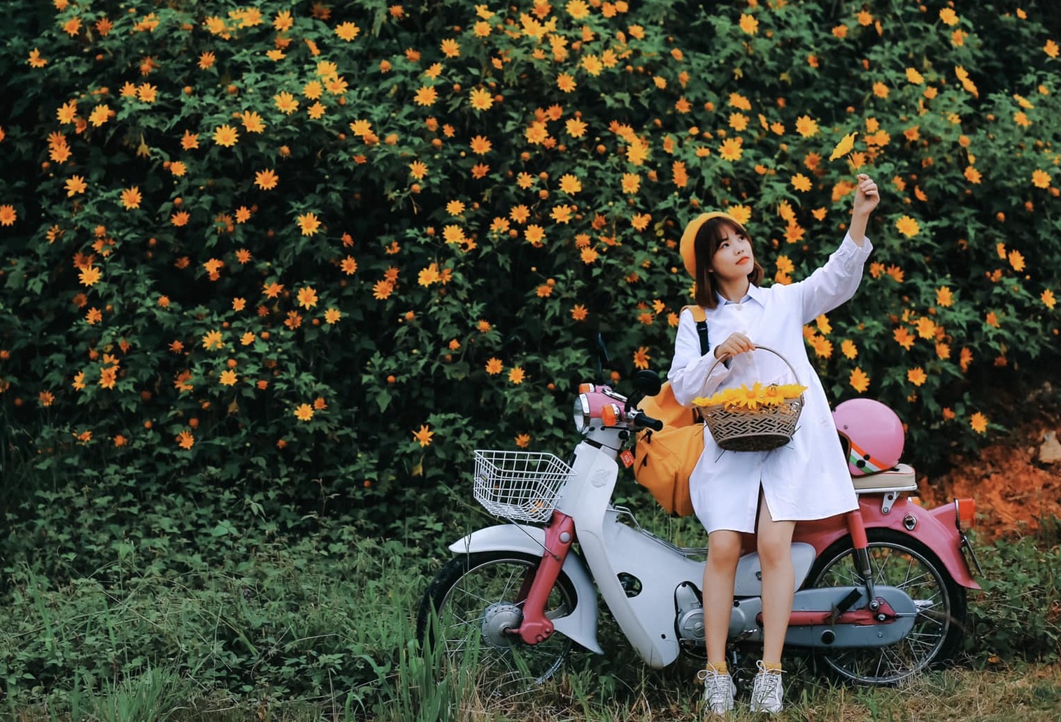 Gioi tre check-in mua hoa da quy o Da Lat hinh anh