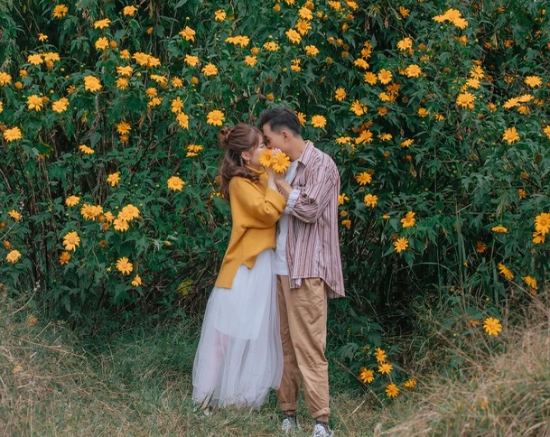 Nhung mua hoa Da Lat trong thang 11 hinh anh