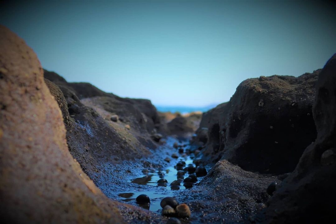 Vinh Jervis o Australia anh 10