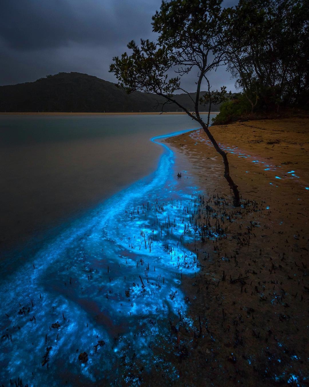 Vinh Jervis o Australia anh 11