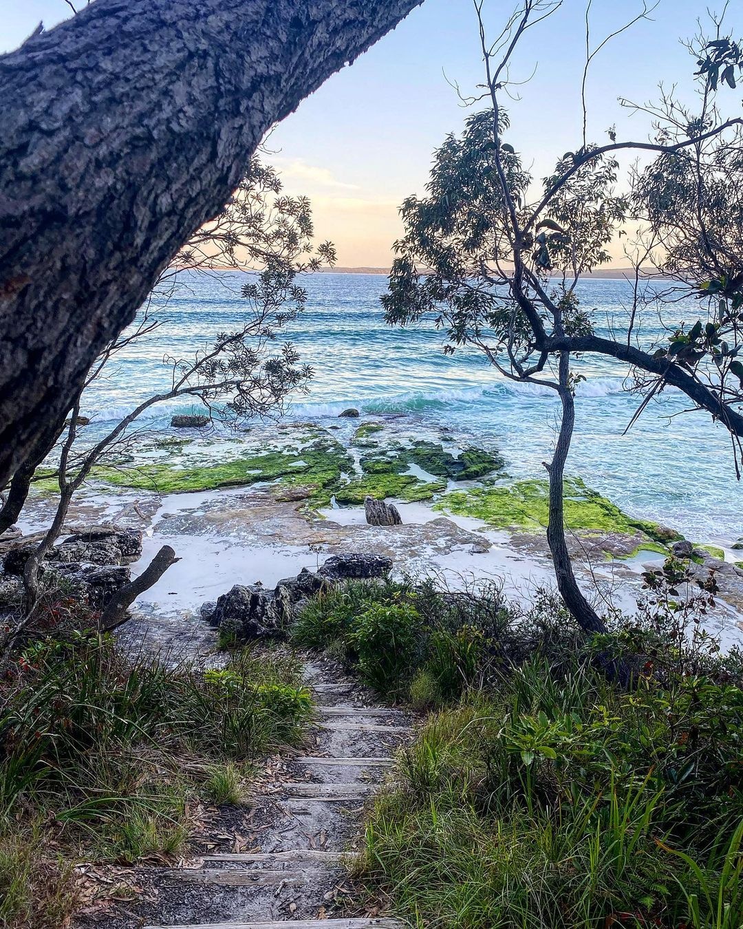 Vinh Jervis o Australia anh 6