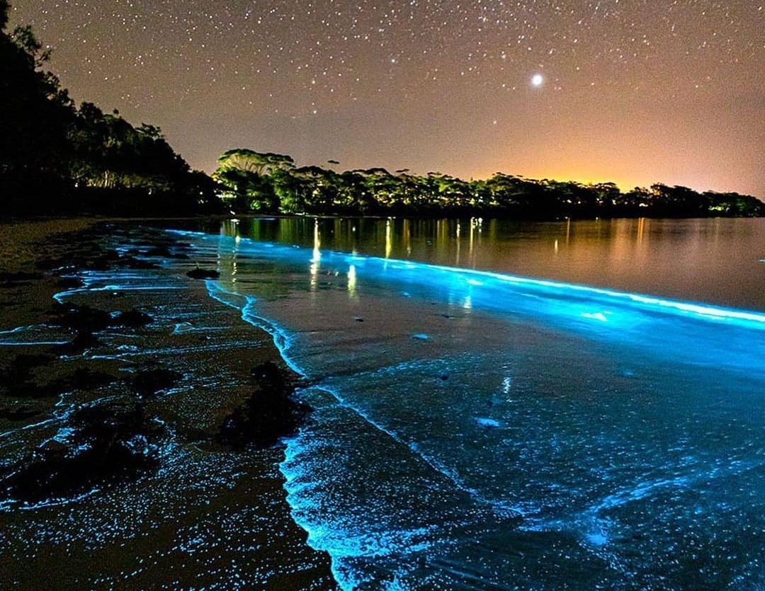 Bai bien Australia ruc sang ve dem hinh anh