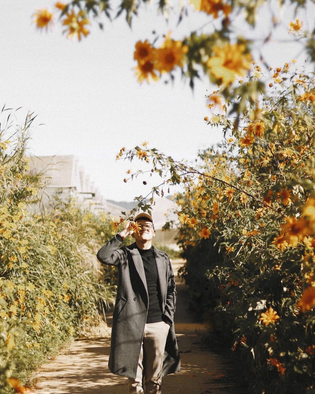 Đà Lạt ảnh 8 Da Lat anh 8