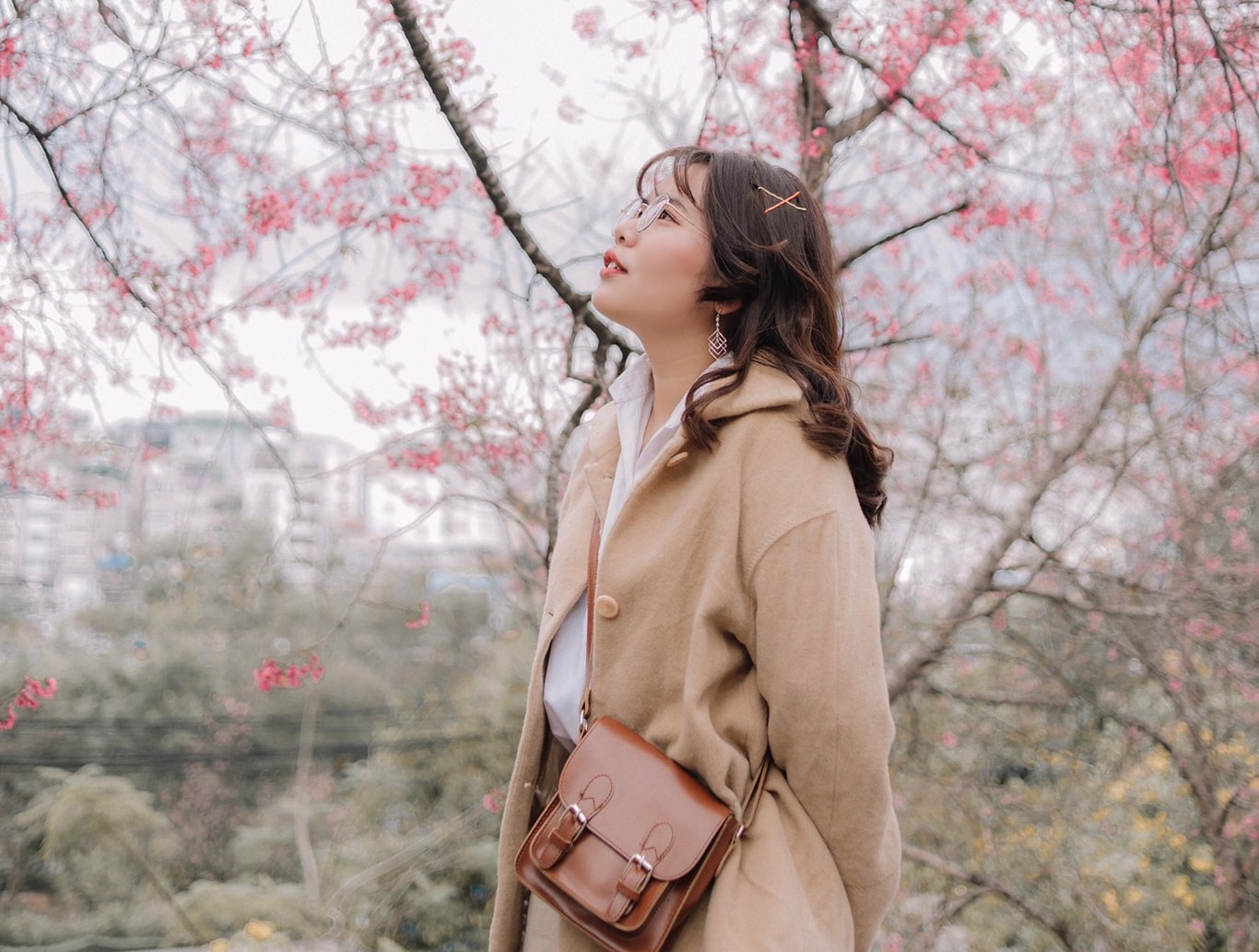 Len lich check-in Da Lat mua mai anh dao hinh anh