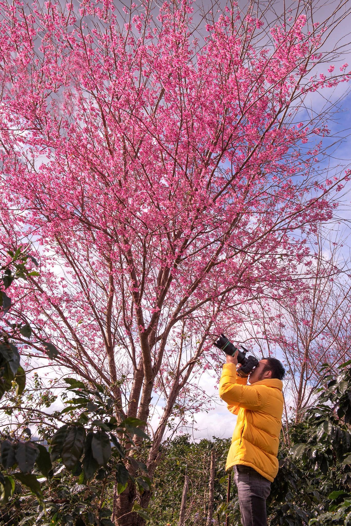 Đà Lạt ảnh 7 Da Lat anh 7