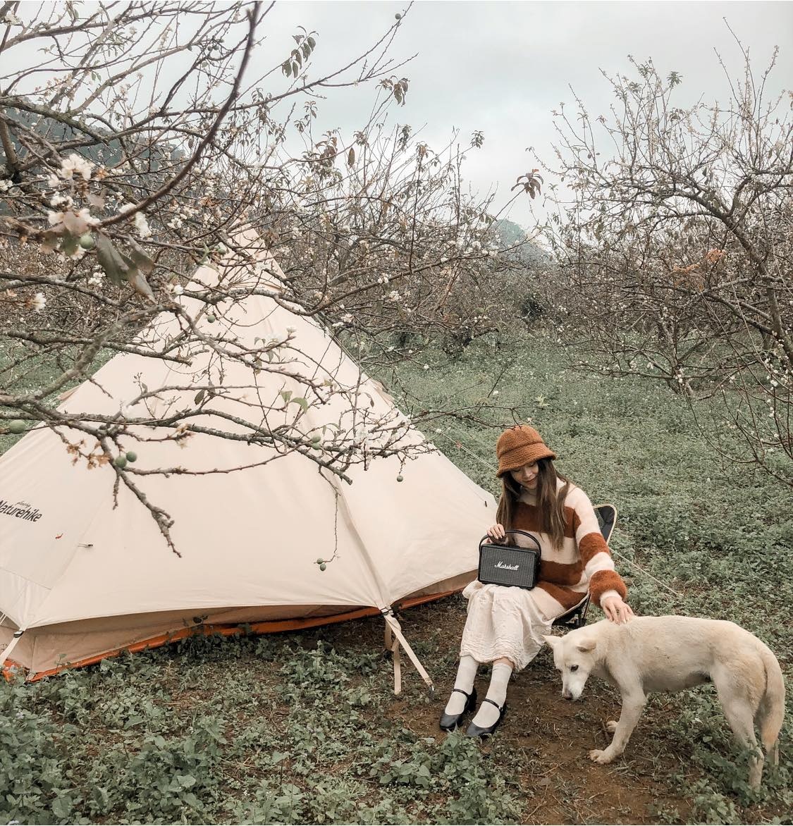 Mộc Châu ảnh 2 Moc Chau anh 2