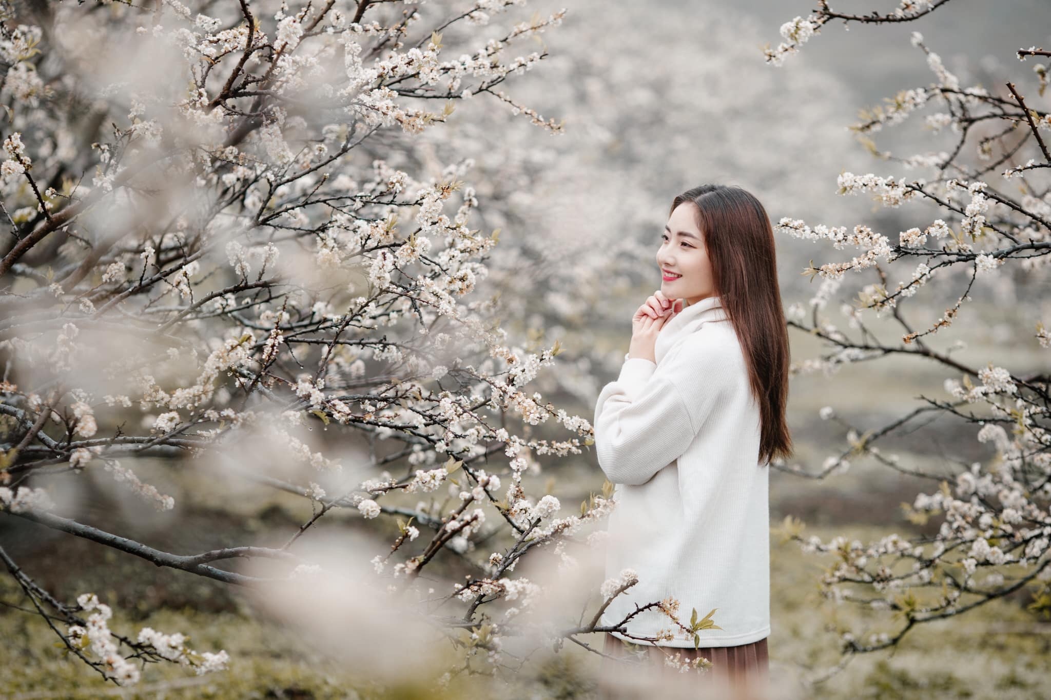 Check-in Moc Chau mua hoa man trang hinh anh