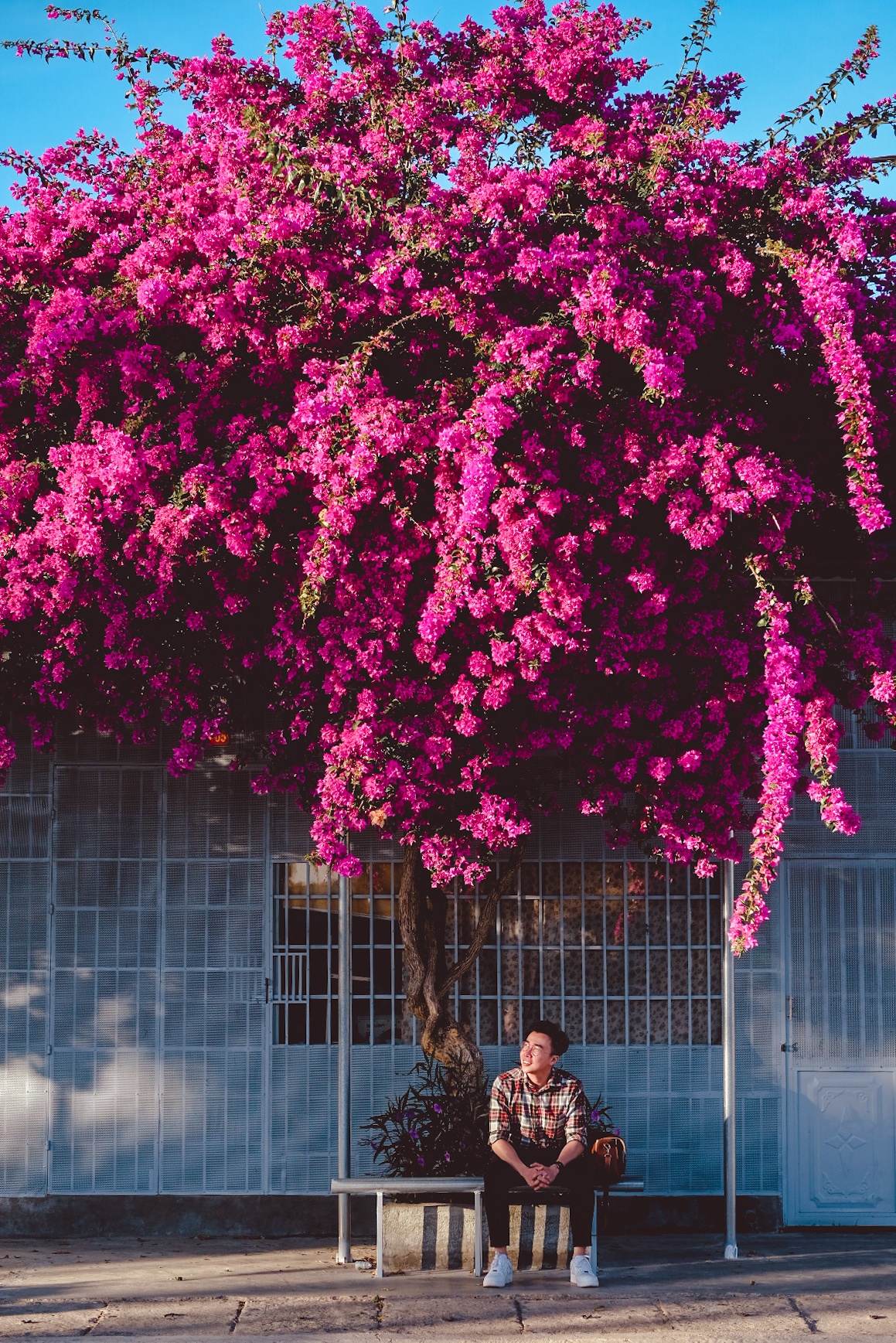 Kon Tum - Gia Lai ảnh 6 Kon Tum - Gia Lai anh 6