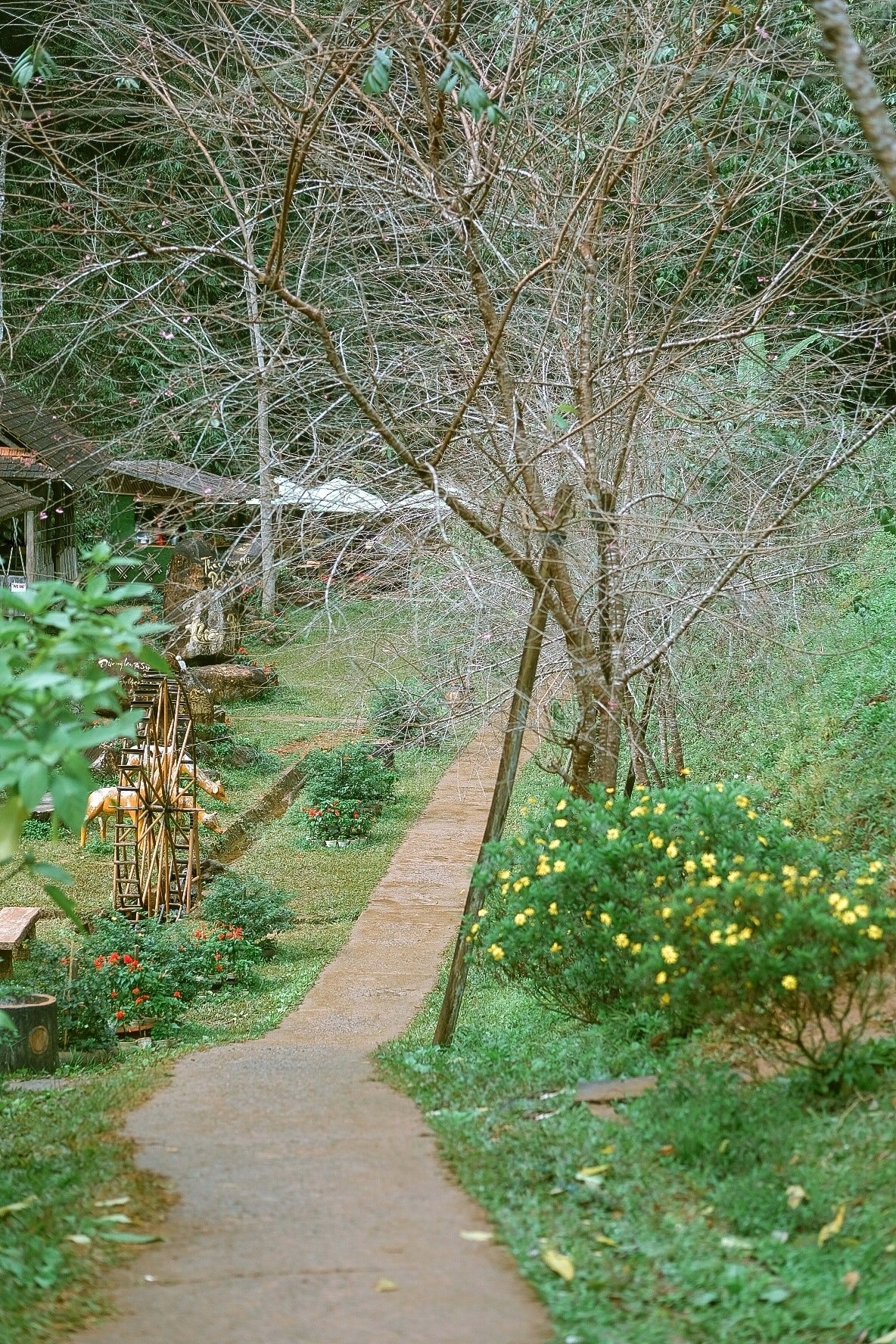 Kon Tum - Gia Lai ảnh 4 Kon Tum - Gia Lai anh 4