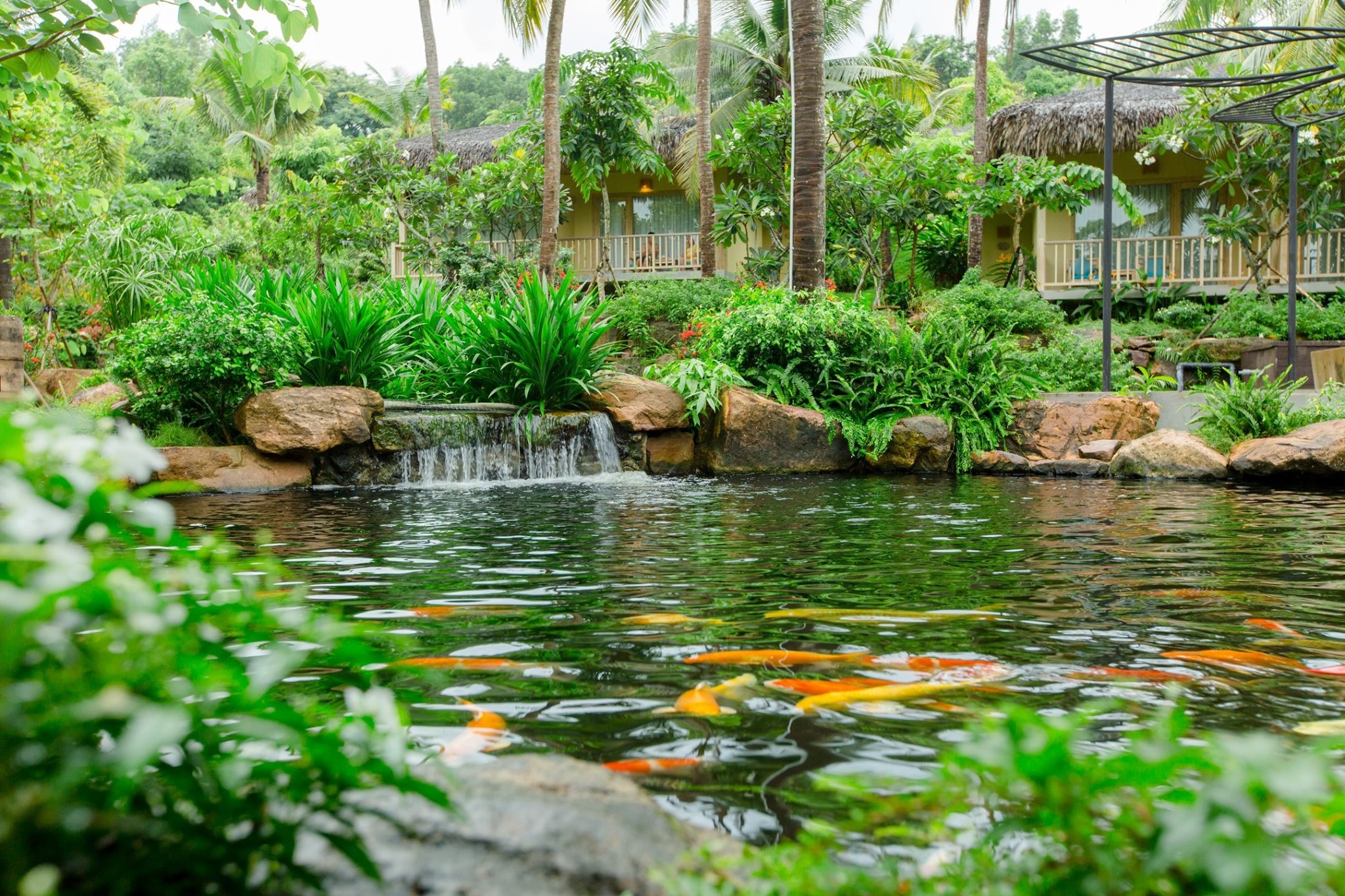 Phú Quốc ảnh 16 Phu Quoc anh 16