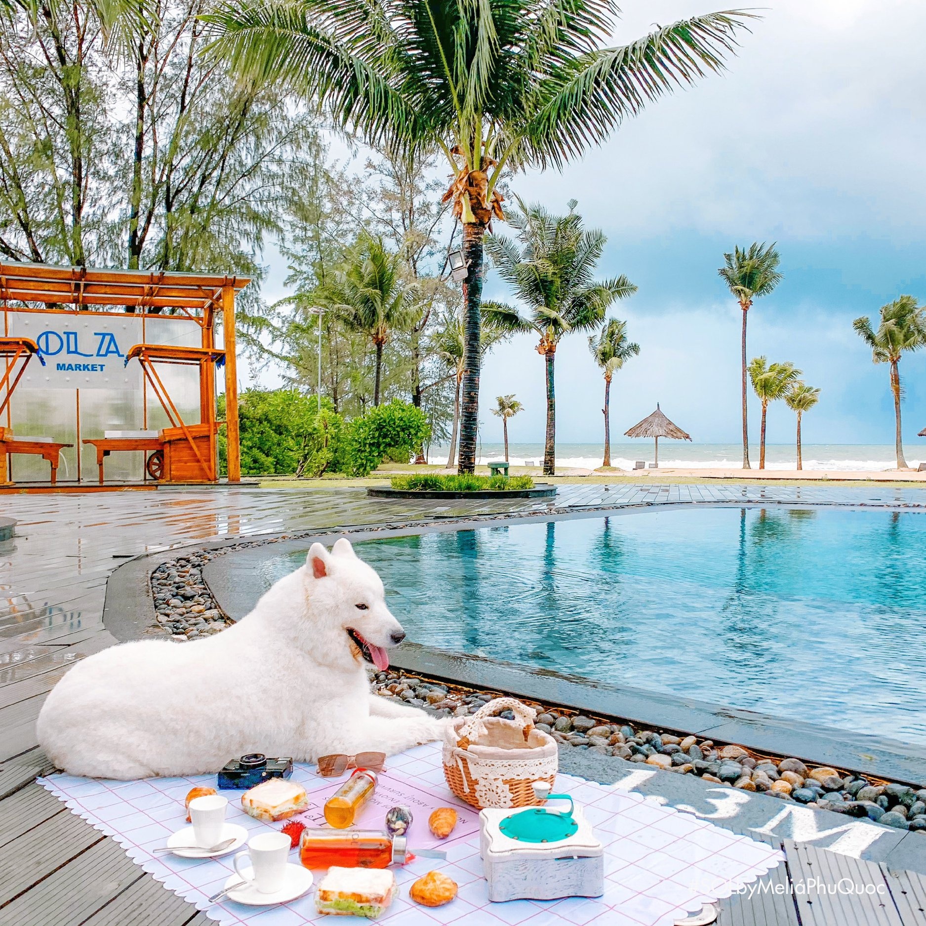 Phú Quốc ảnh 11 Phu Quoc anh 11