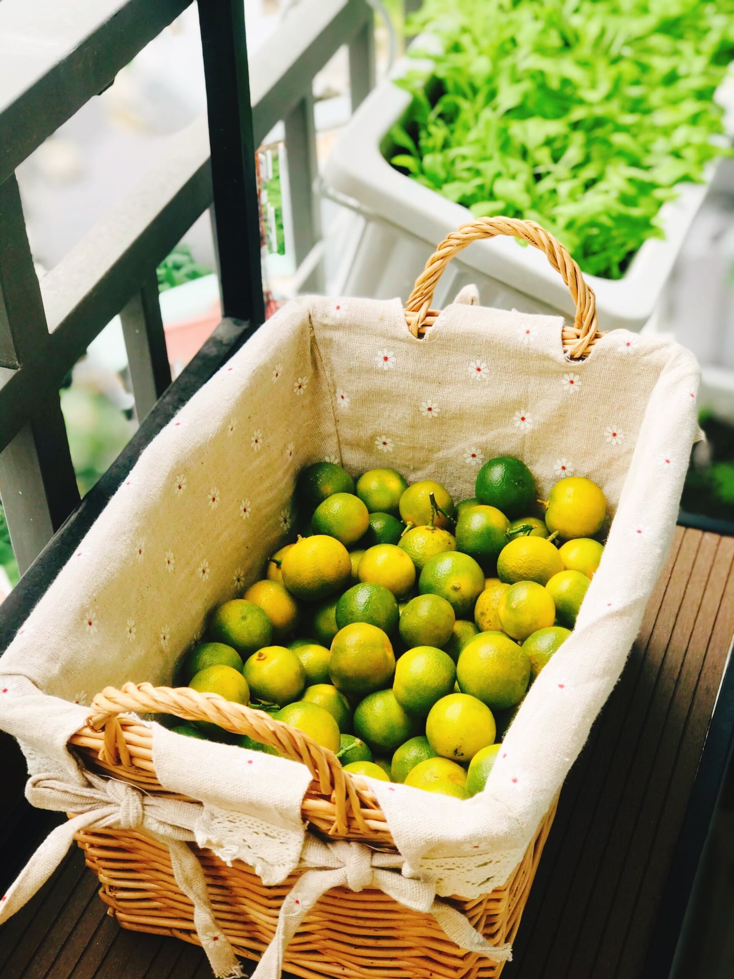 mứt tắc ảnh 2 mut tac anh 2