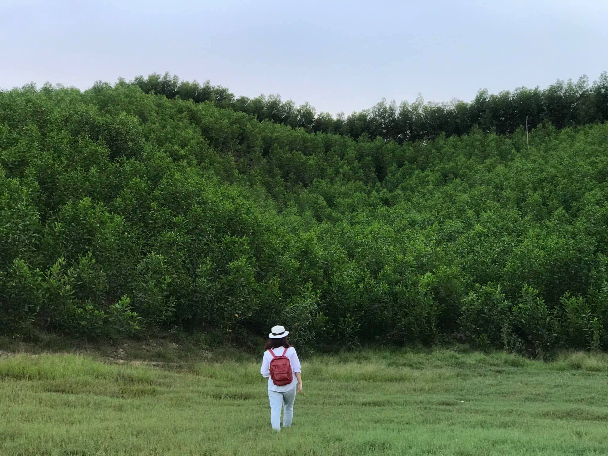 Huế ảnh 10 Hue anh 10