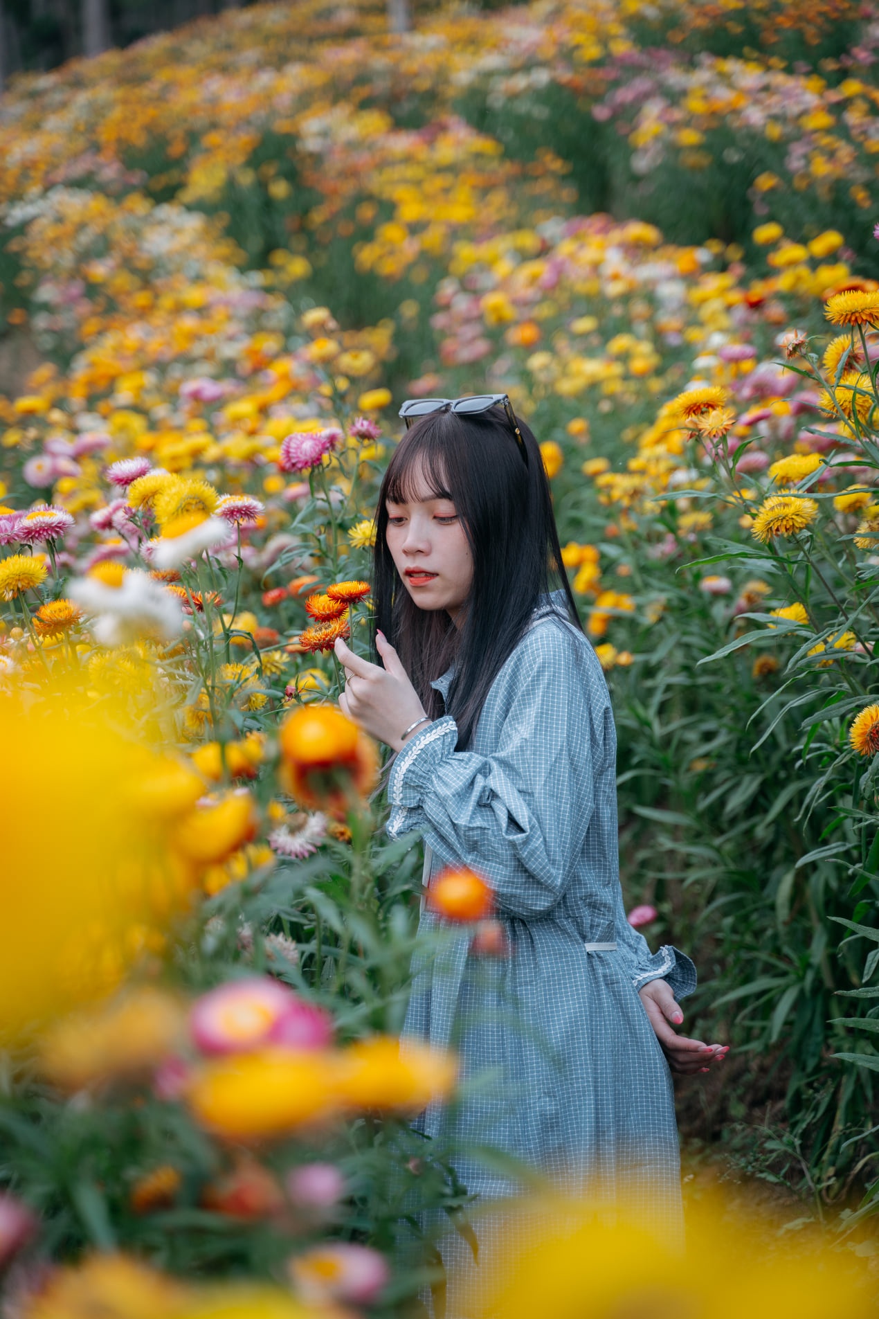 Đà Lạt ảnh 14 Da Lat anh 14