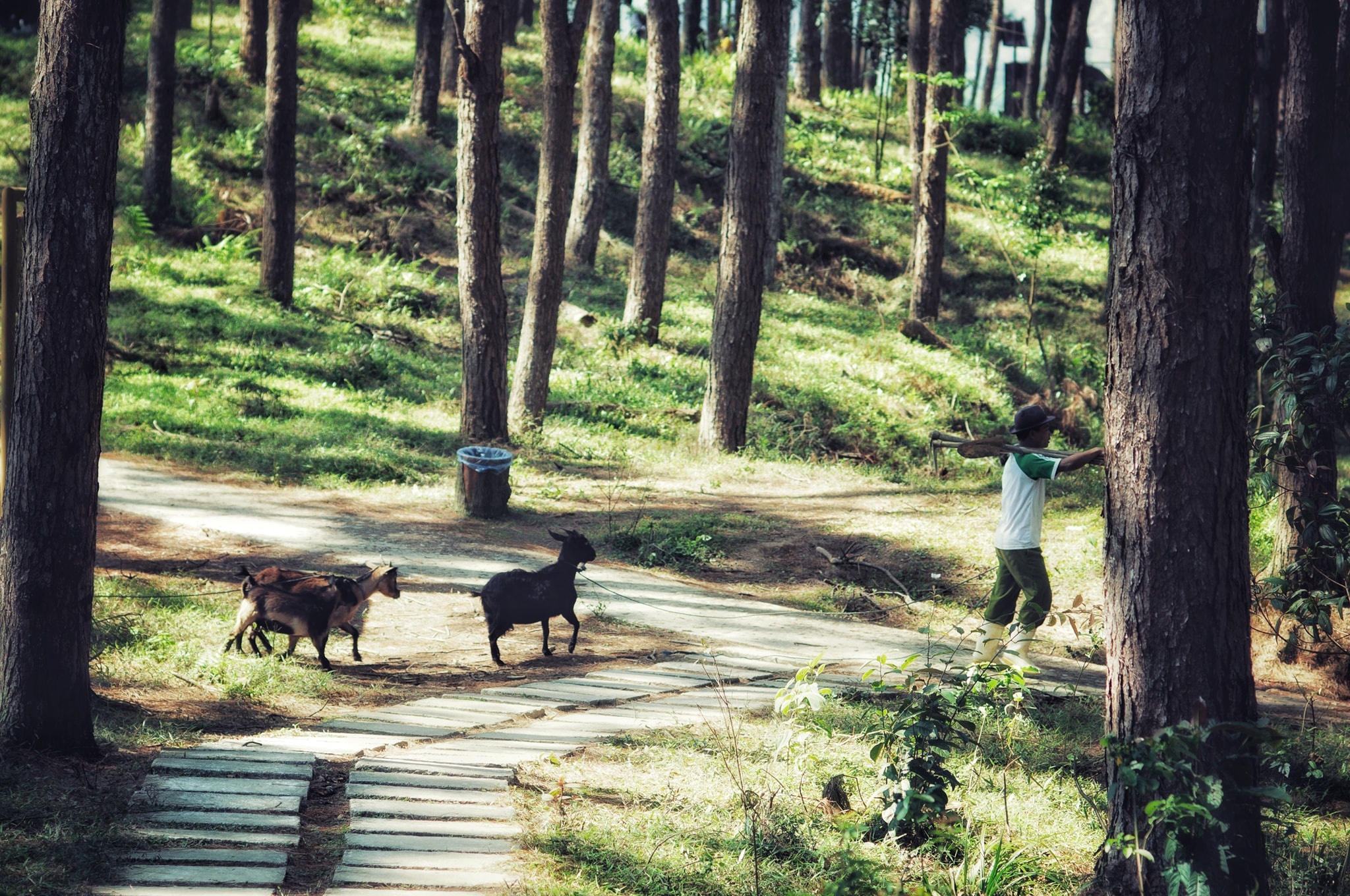 Huế ảnh 14 Hue anh 14