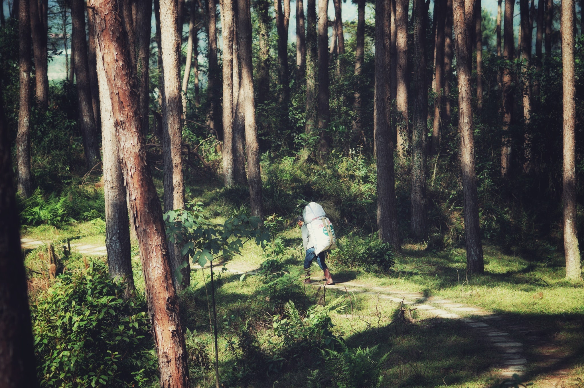 Huế ảnh 15 Hue anh 15