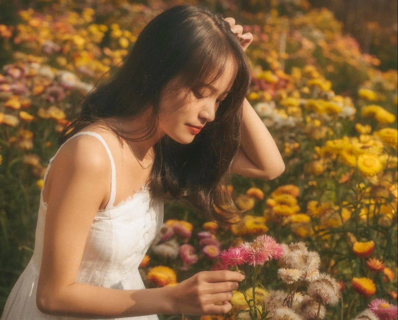 Canh sac than tien o rung hoa bat tu tai Da Lat hinh anh