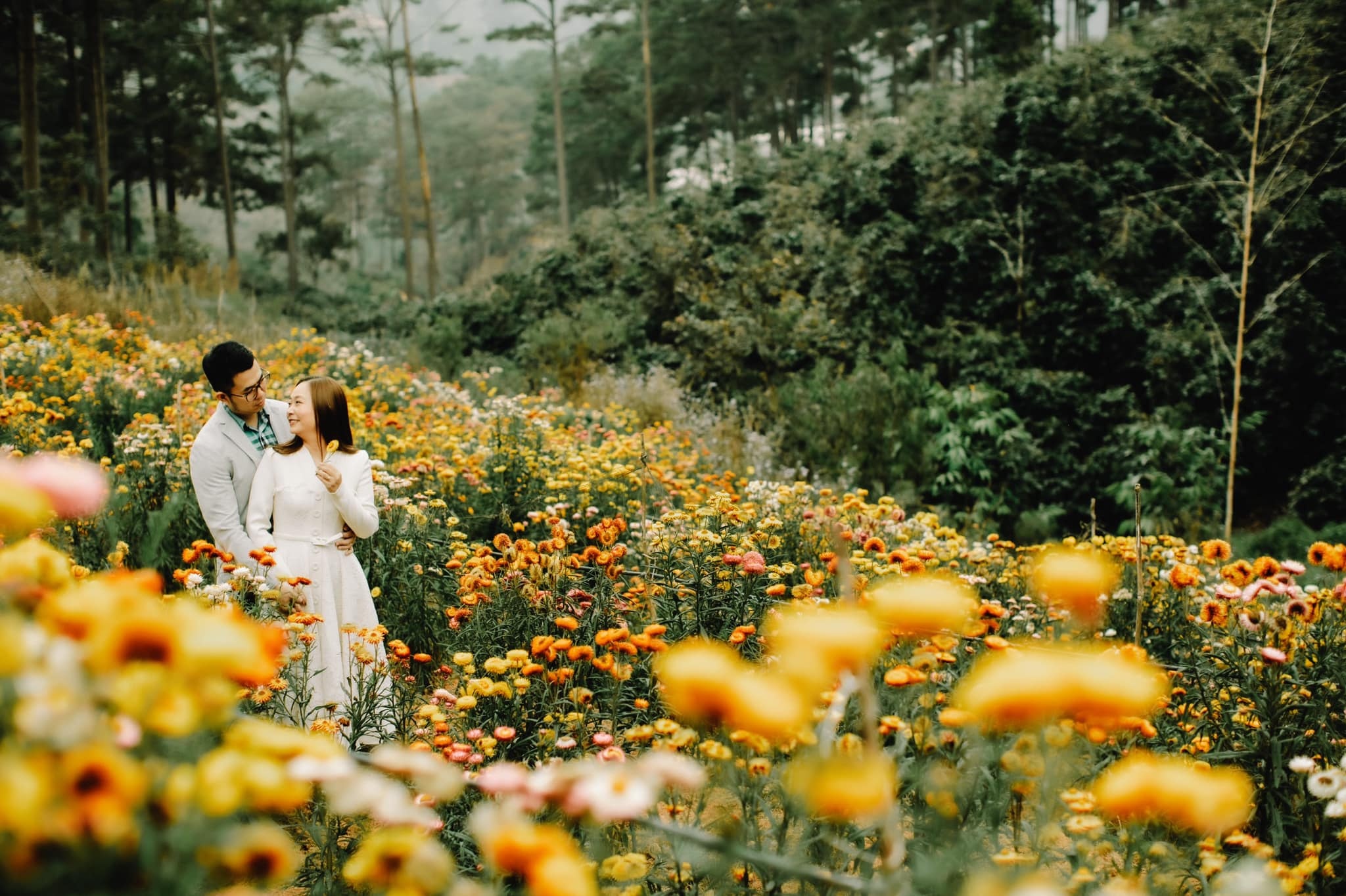 Đà Lạt ảnh 8 Da Lat anh 8