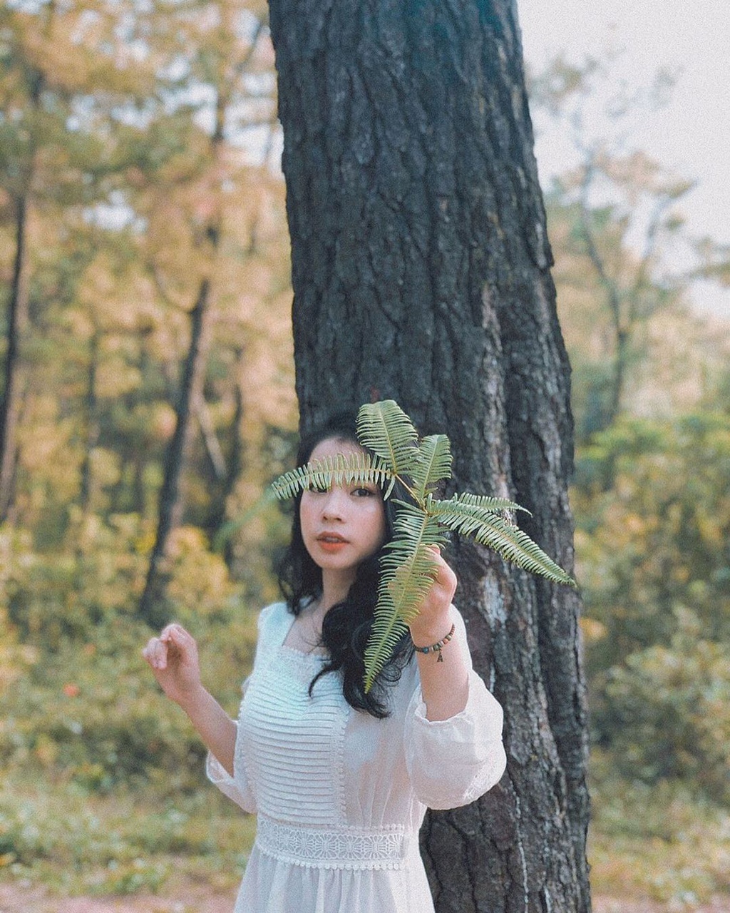 Huế ảnh 4 Hue anh 4