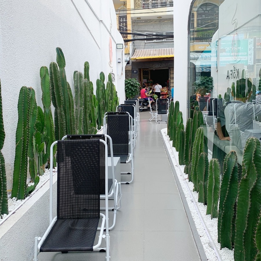 TP.HCM ảnh 9 TP.HCM anh 9