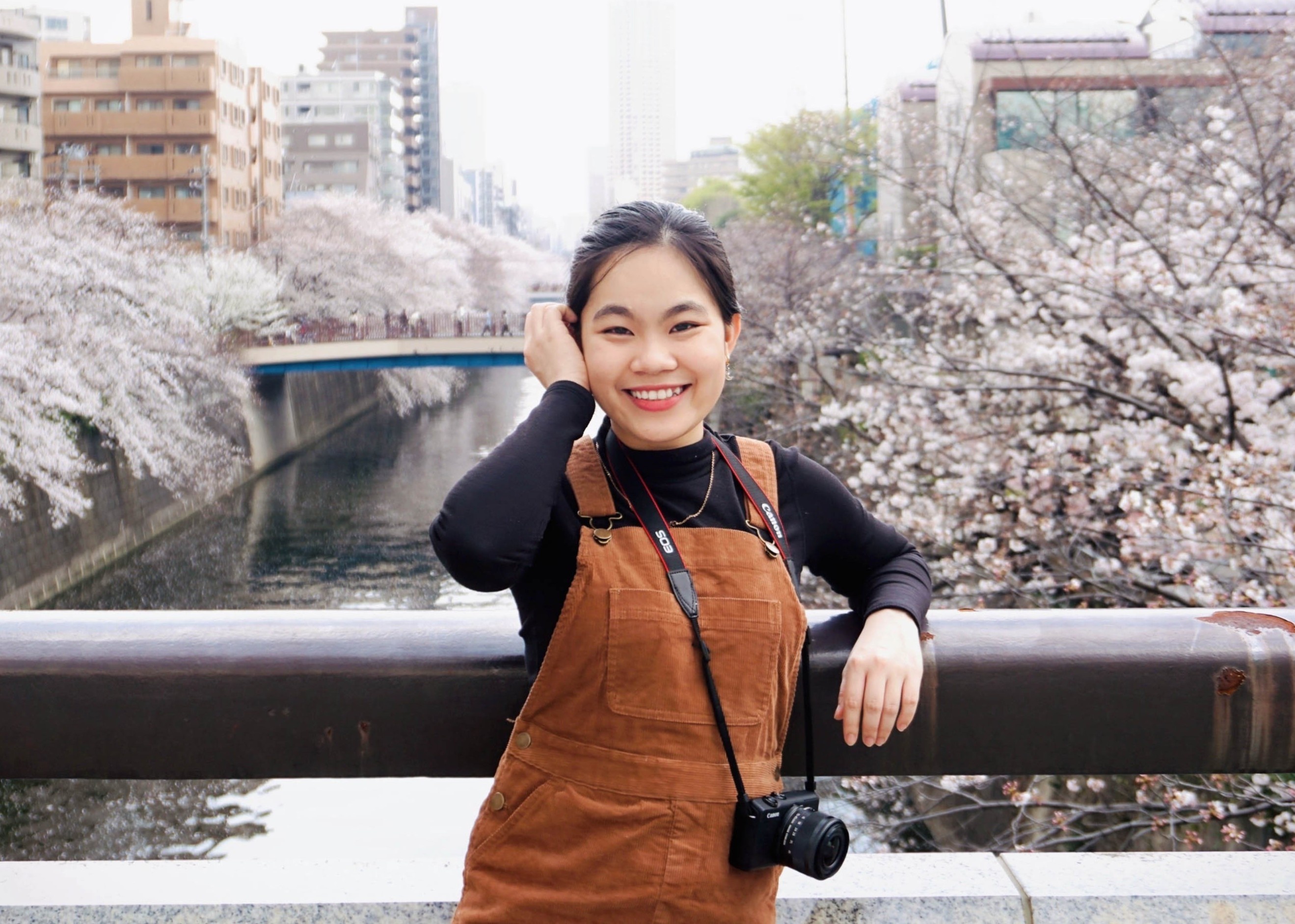 Mua hoa anh dao dac biet o Nhat Ban hinh anh