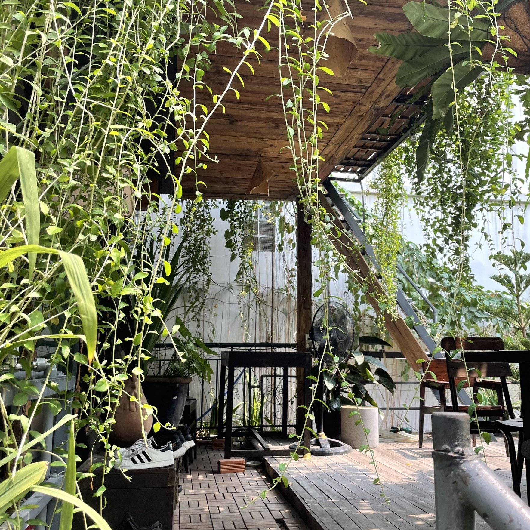 TP.HCM ảnh 6 TP.HCM anh 6