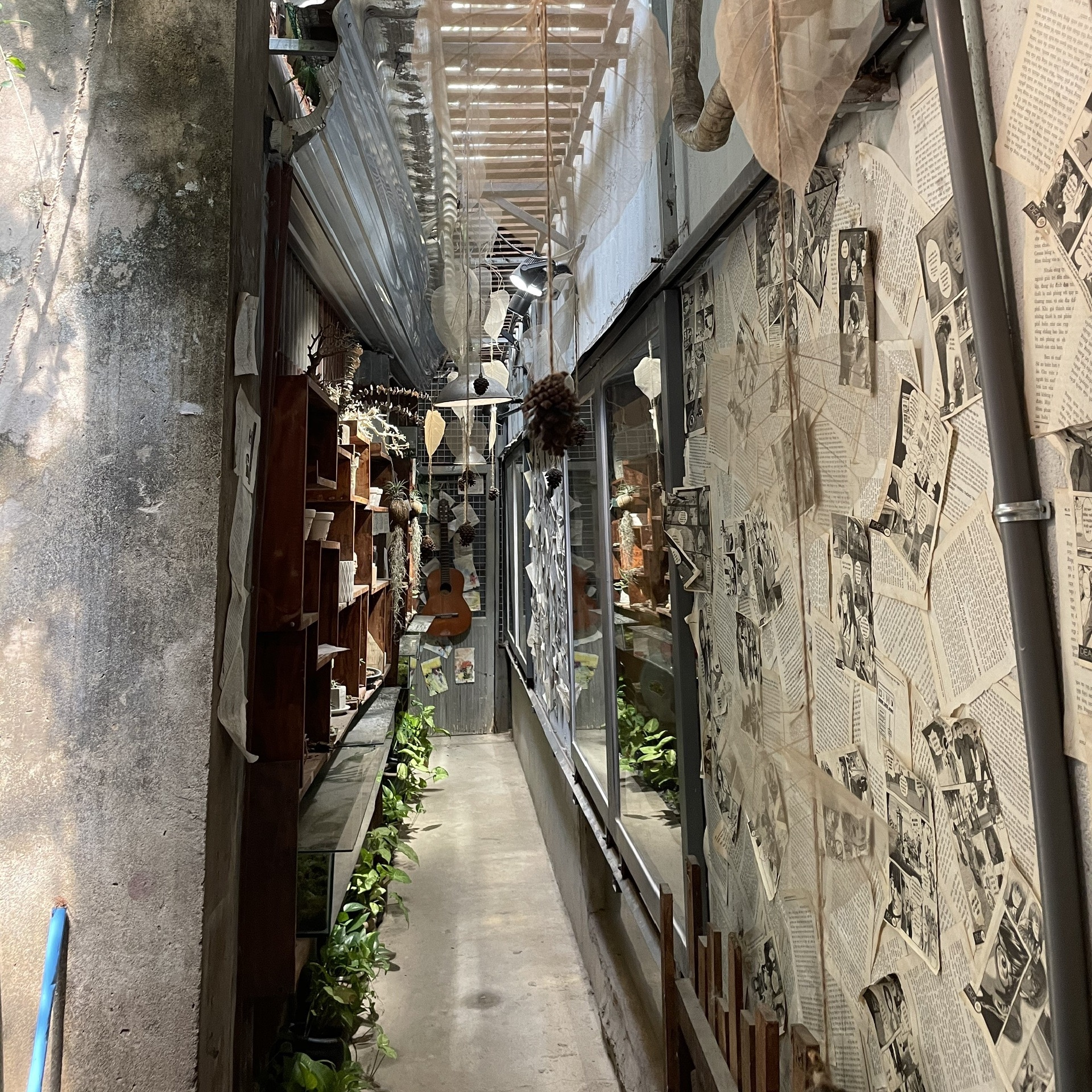 TP.HCM ảnh 7 TP.HCM anh 7