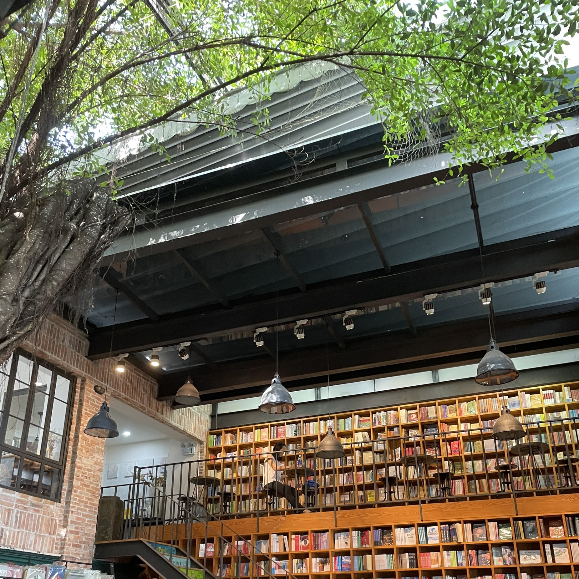 TP.HCM ảnh 2 TP.HCM anh 2