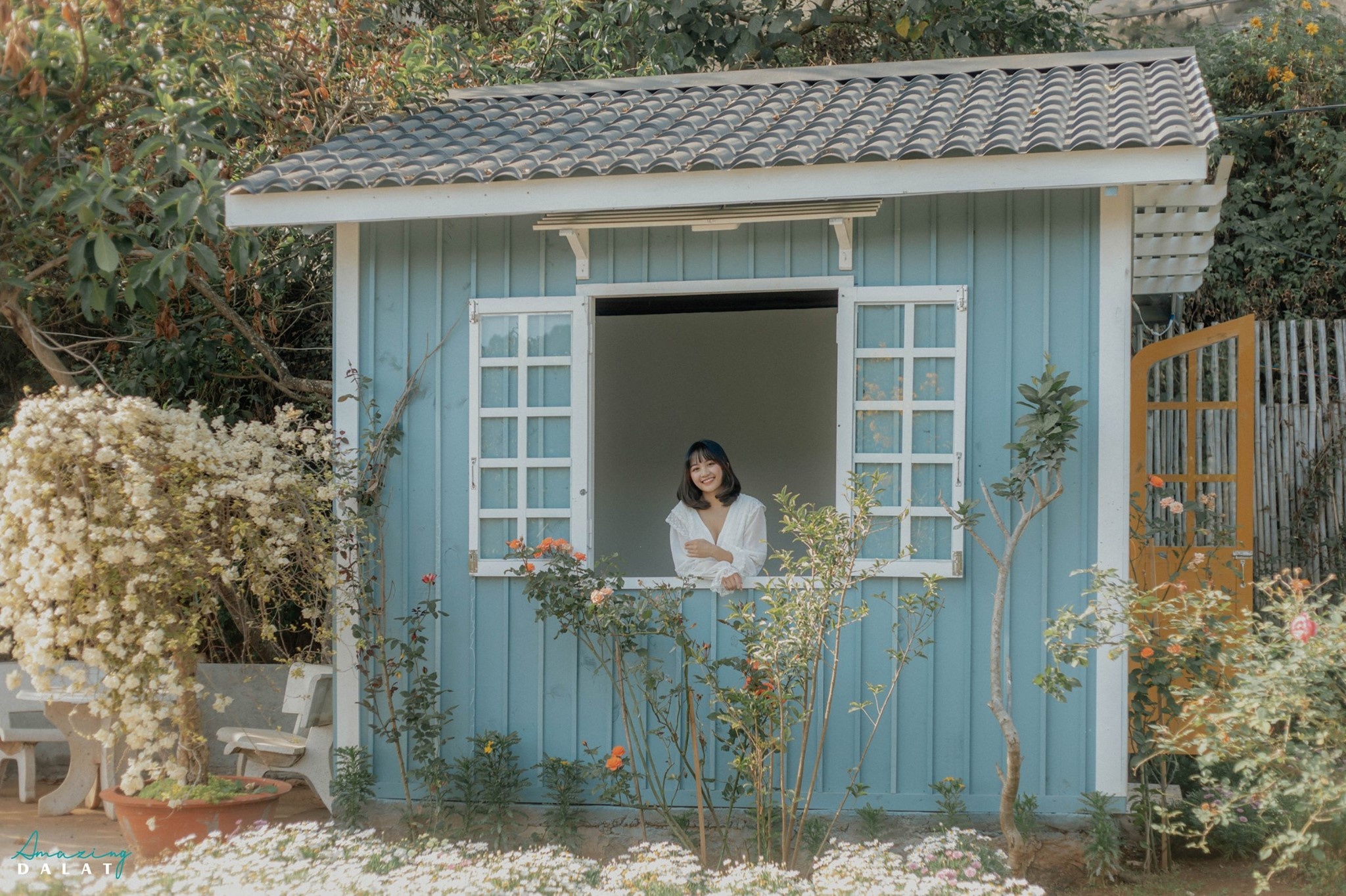 Đà Lạt ảnh 11 Da Lat anh 11