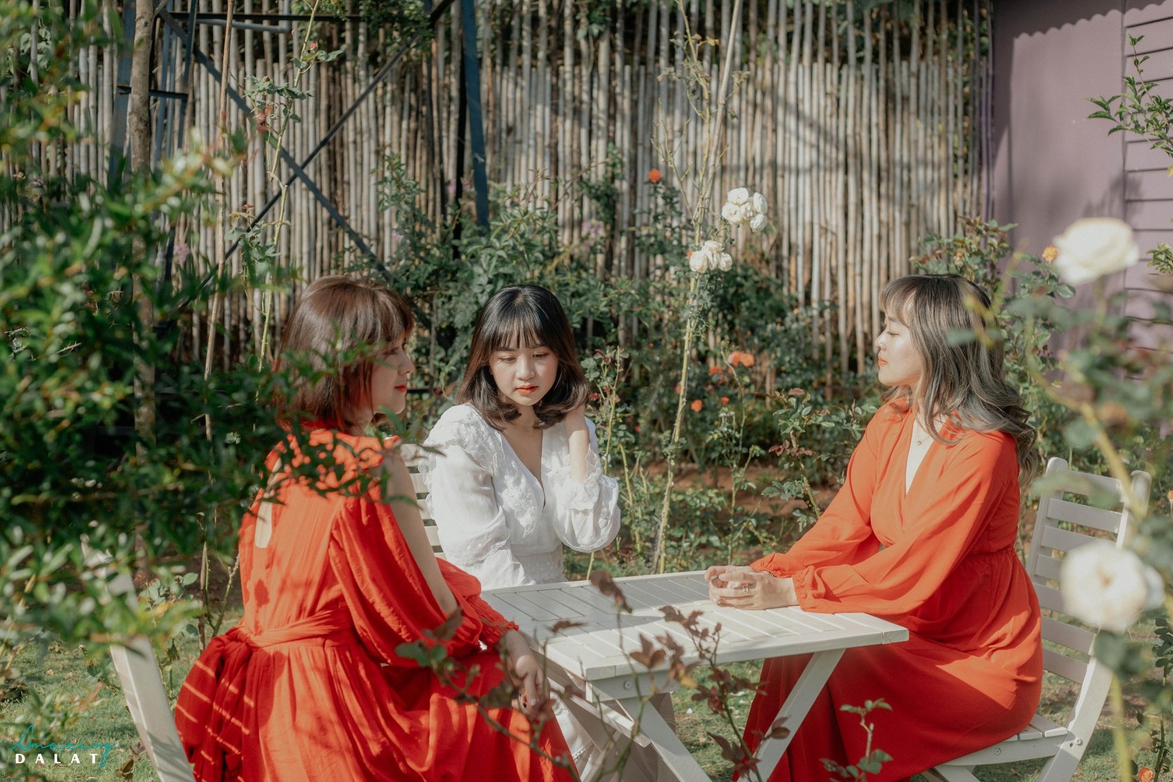 Đà Lạt ảnh 12 Da Lat anh 12