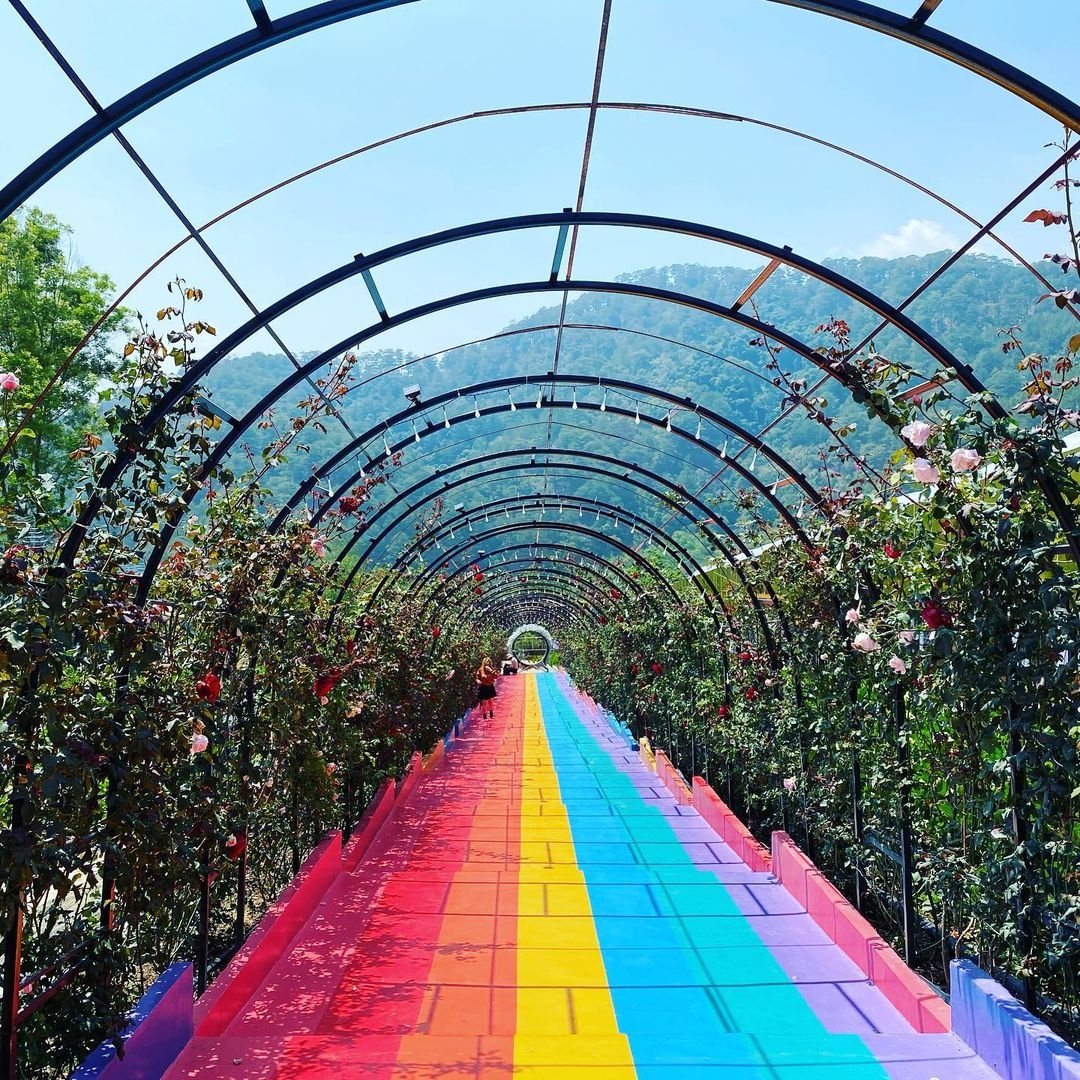 Đà Lạt ảnh 2 Da Lat anh 2