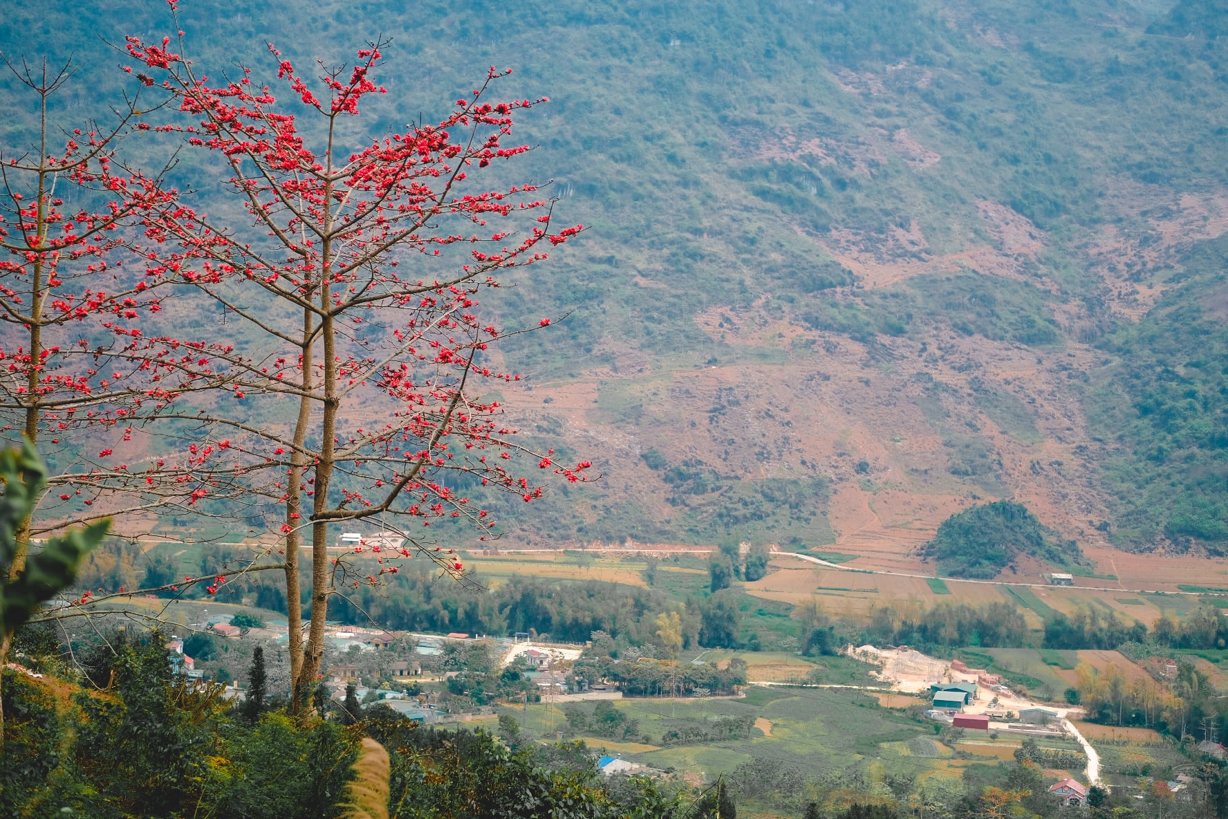 Hà Giang ảnh 2 Ha Giang anh 2