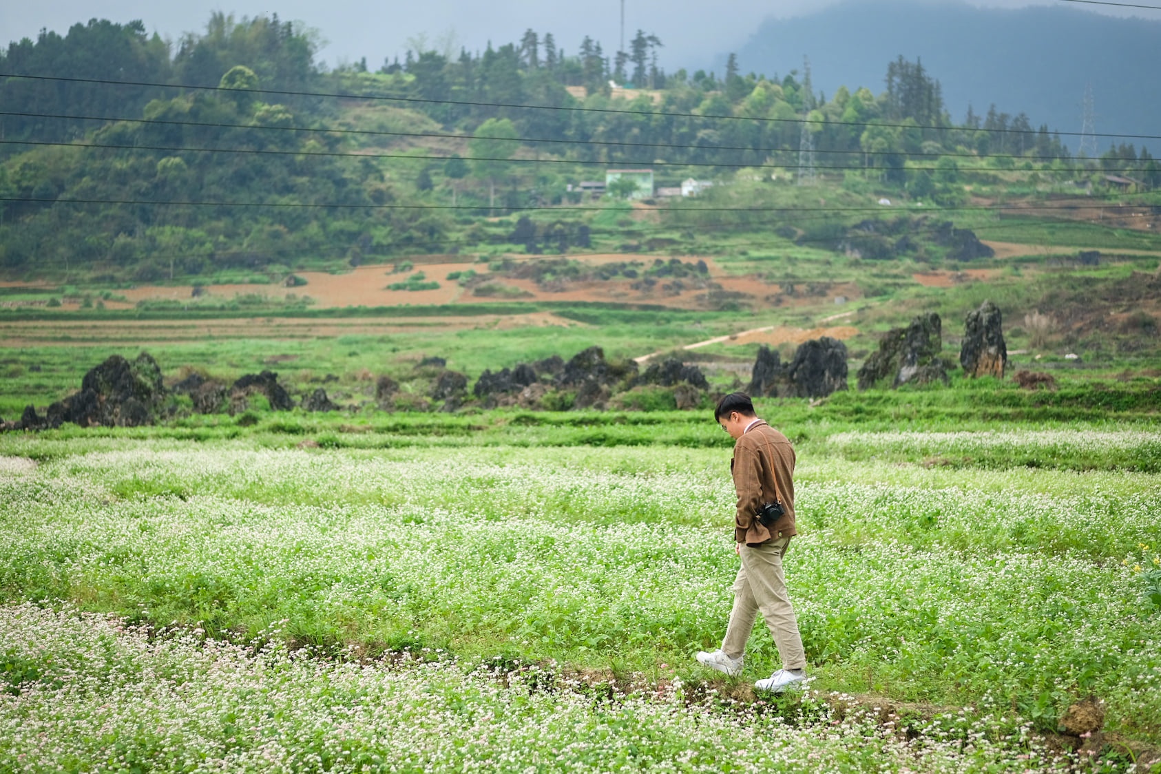 Hà Giang ảnh 5 Ha Giang anh 5