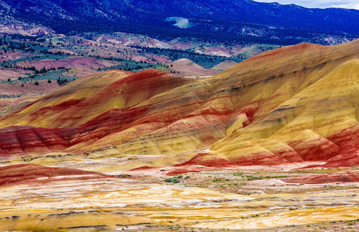 ky quan ruc ro anh 7